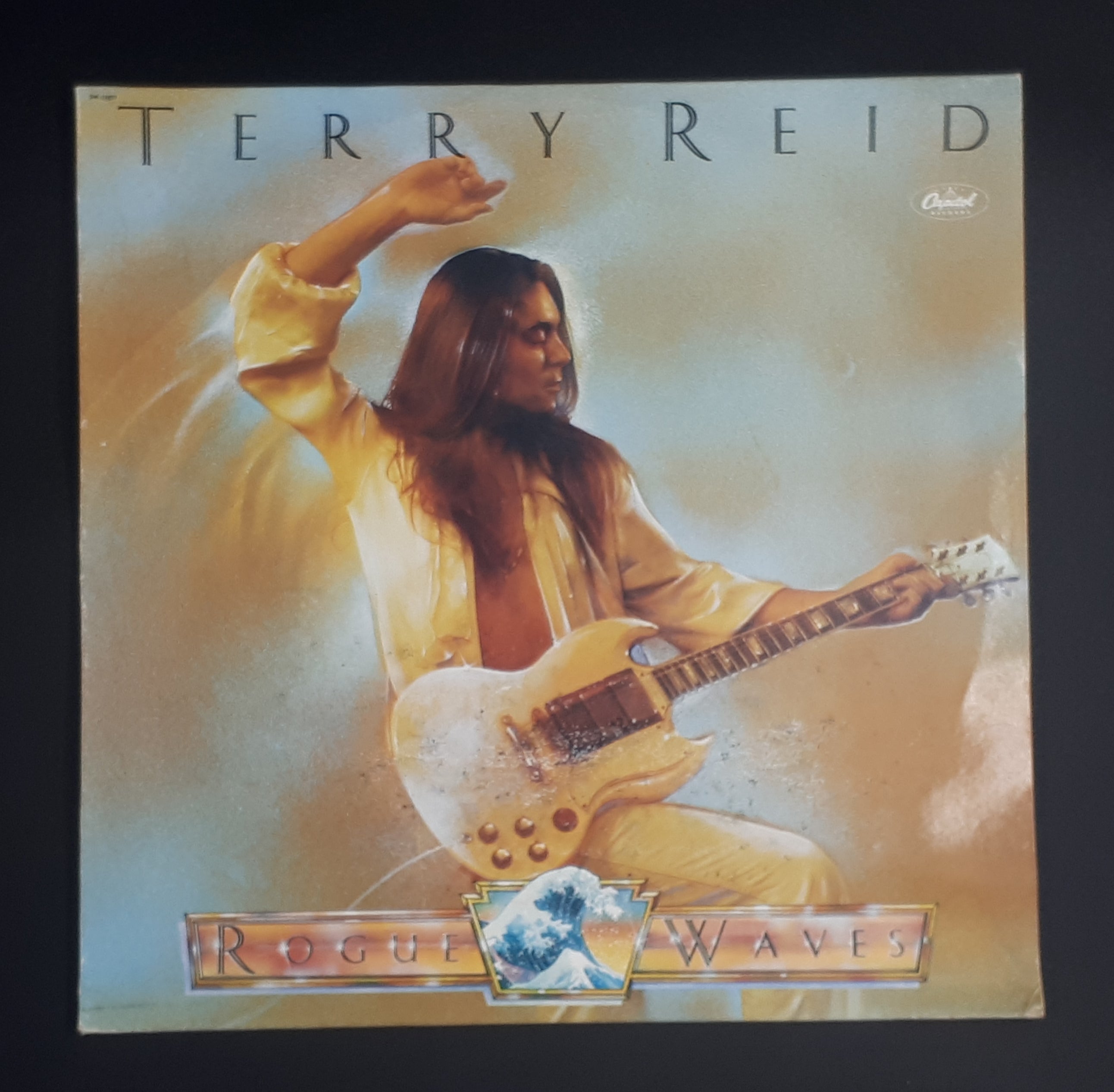 Terry Reid - Rogue Waves