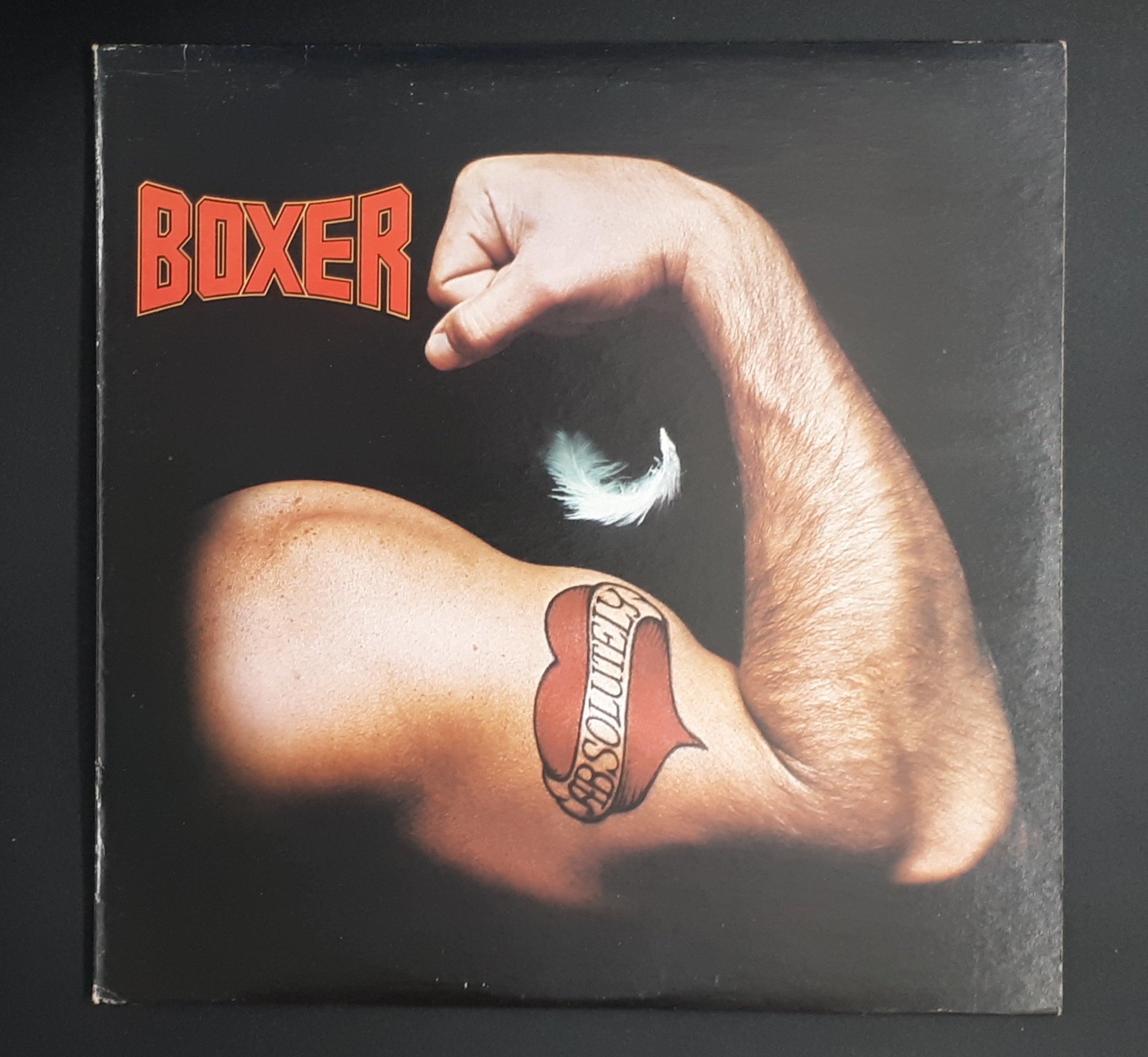 Boxer - Absolutely