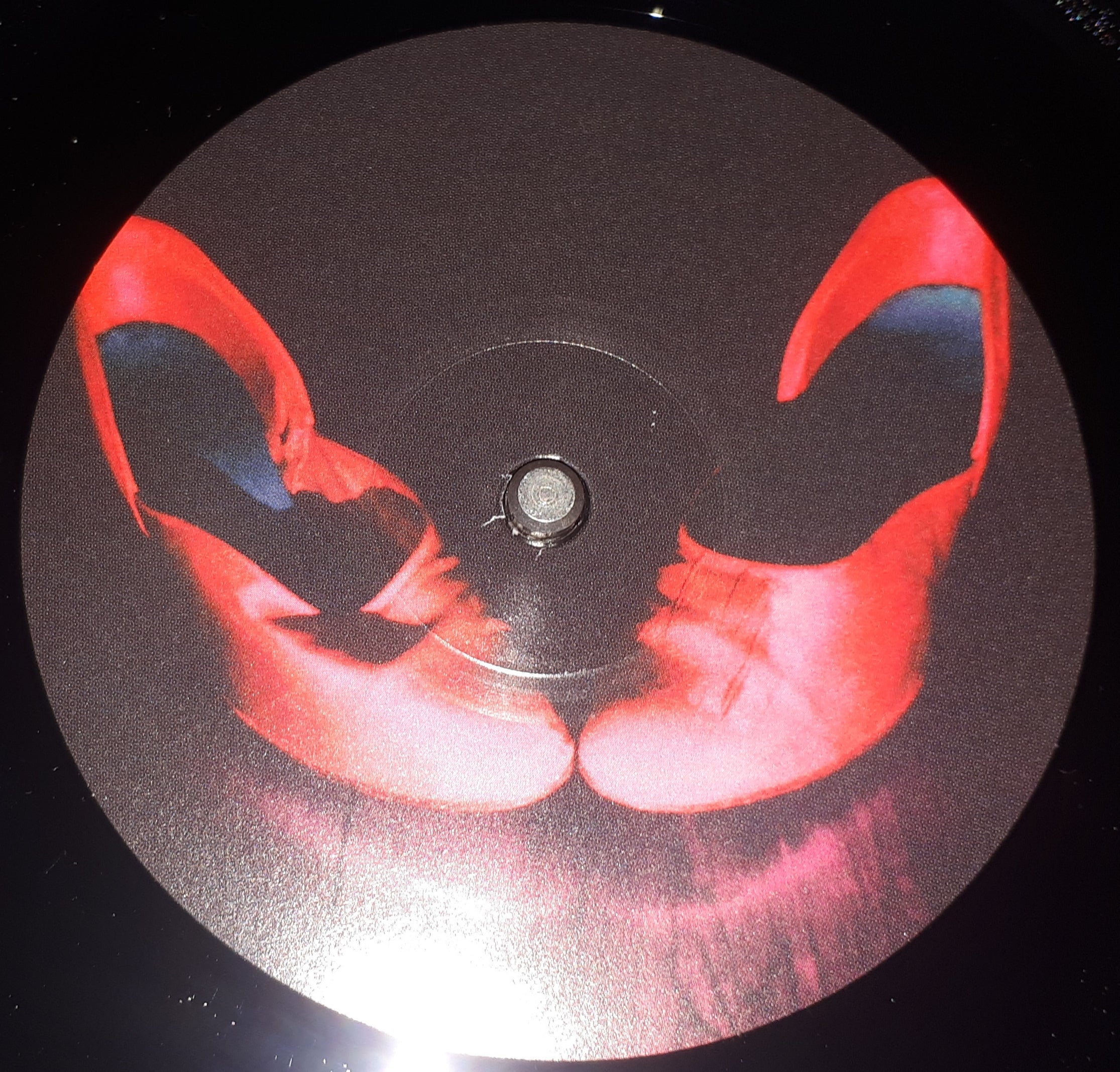 Bat For Lashes - The Bride