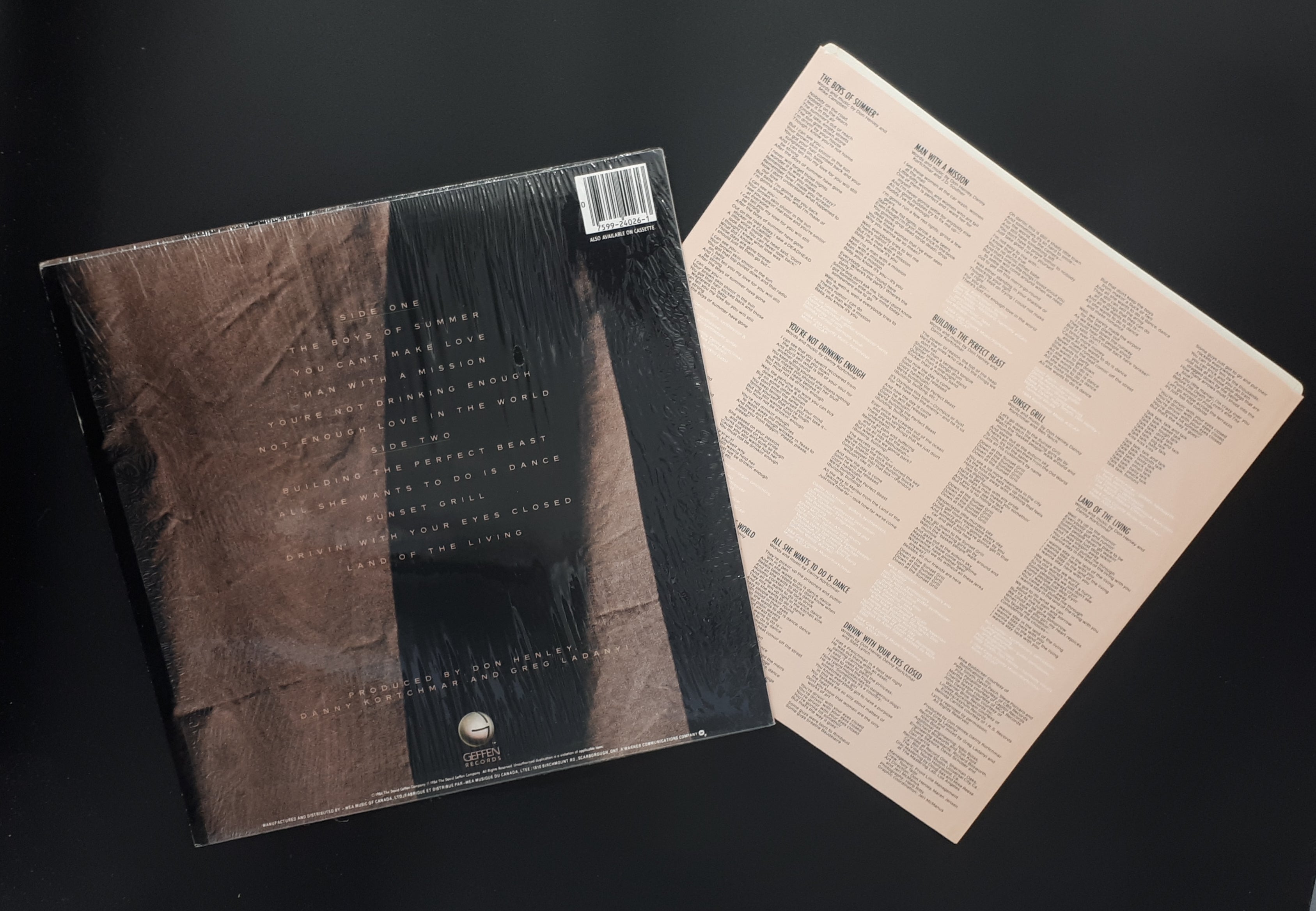 Don Henley - Building The Perfect Beast