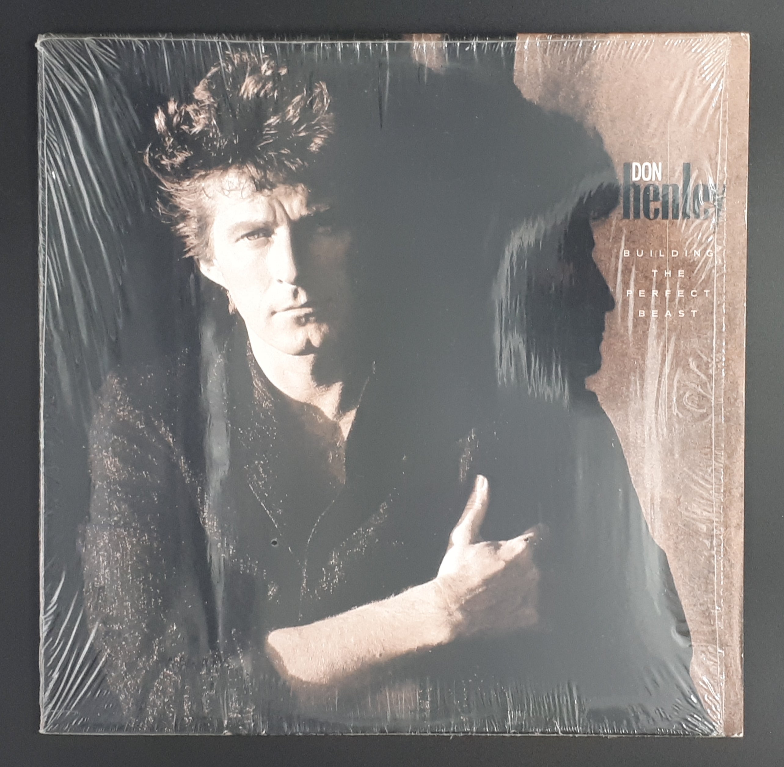 Don Henley - Building The Perfect Beast