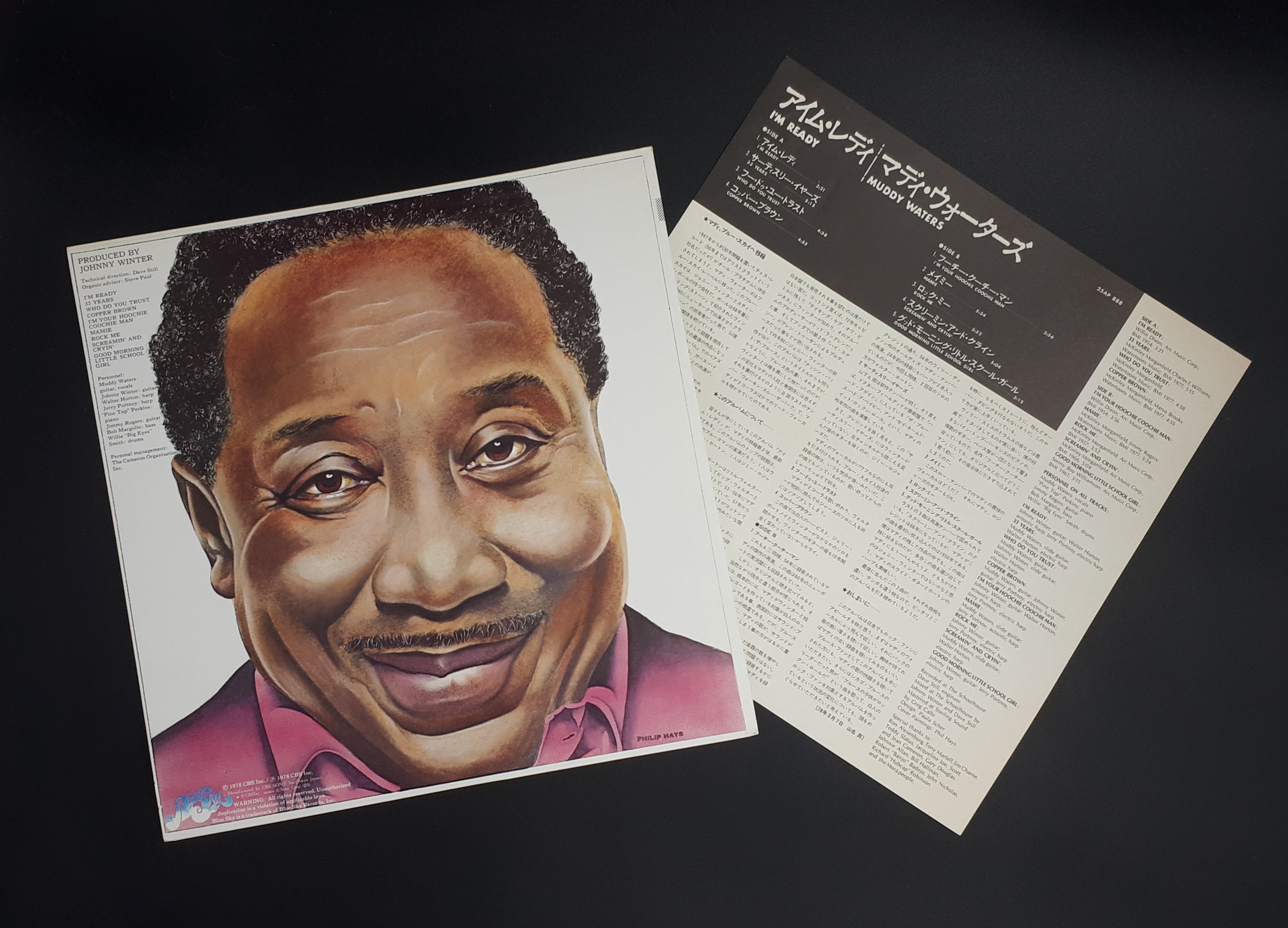 Muddy Waters - I'm Ready