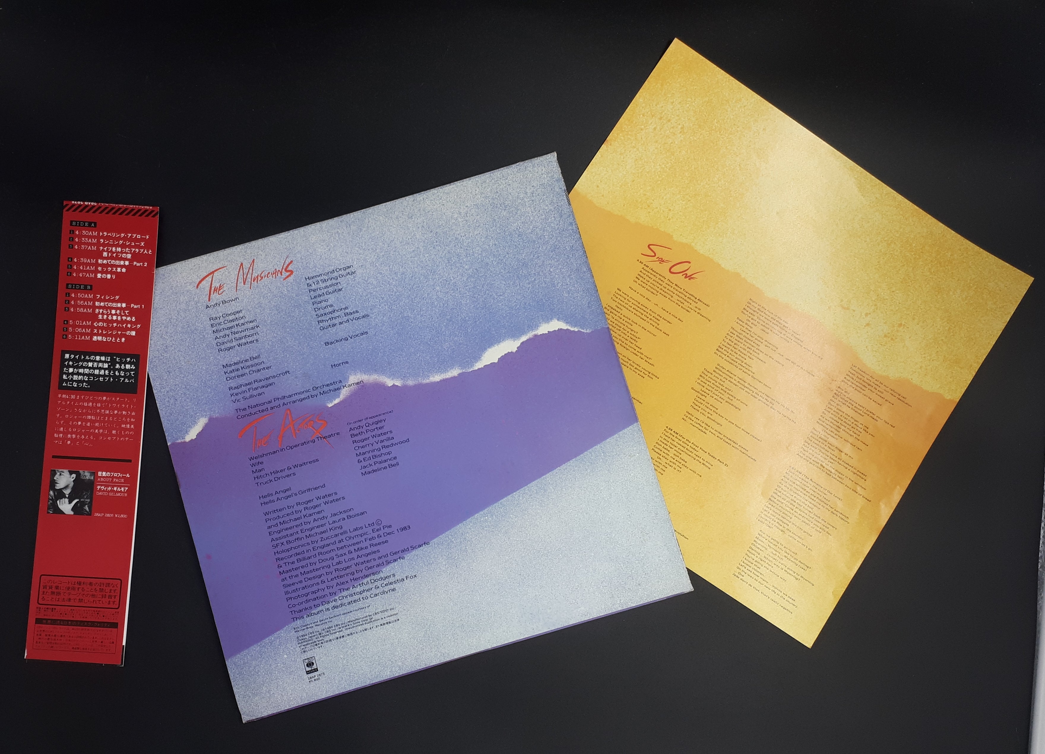 Roger Waters - The Pros And Cons Of Hitch Hiking