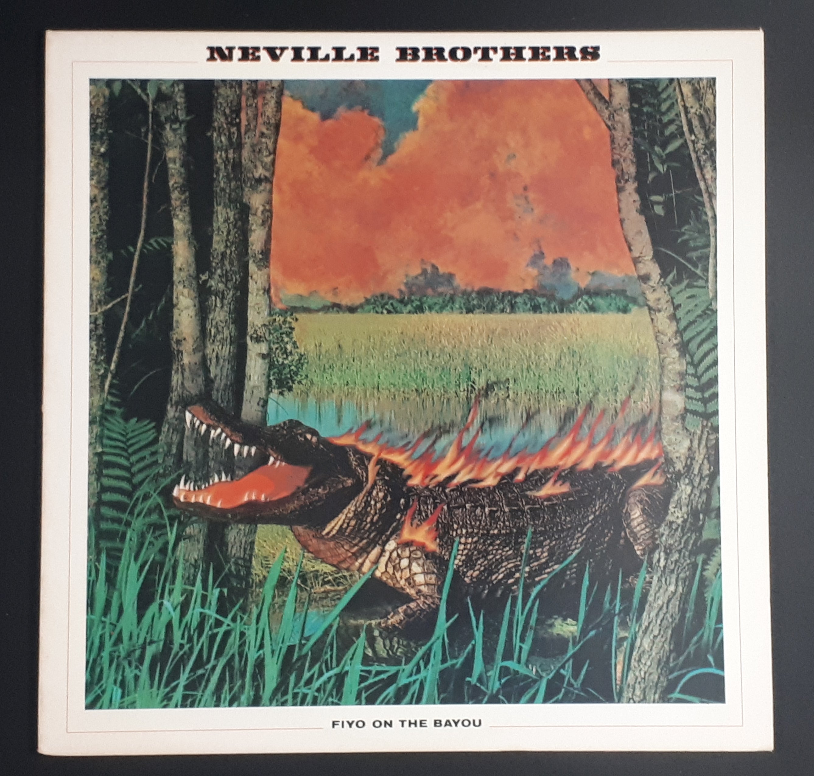 The Neville Brothers - Fiyo On The Bayou