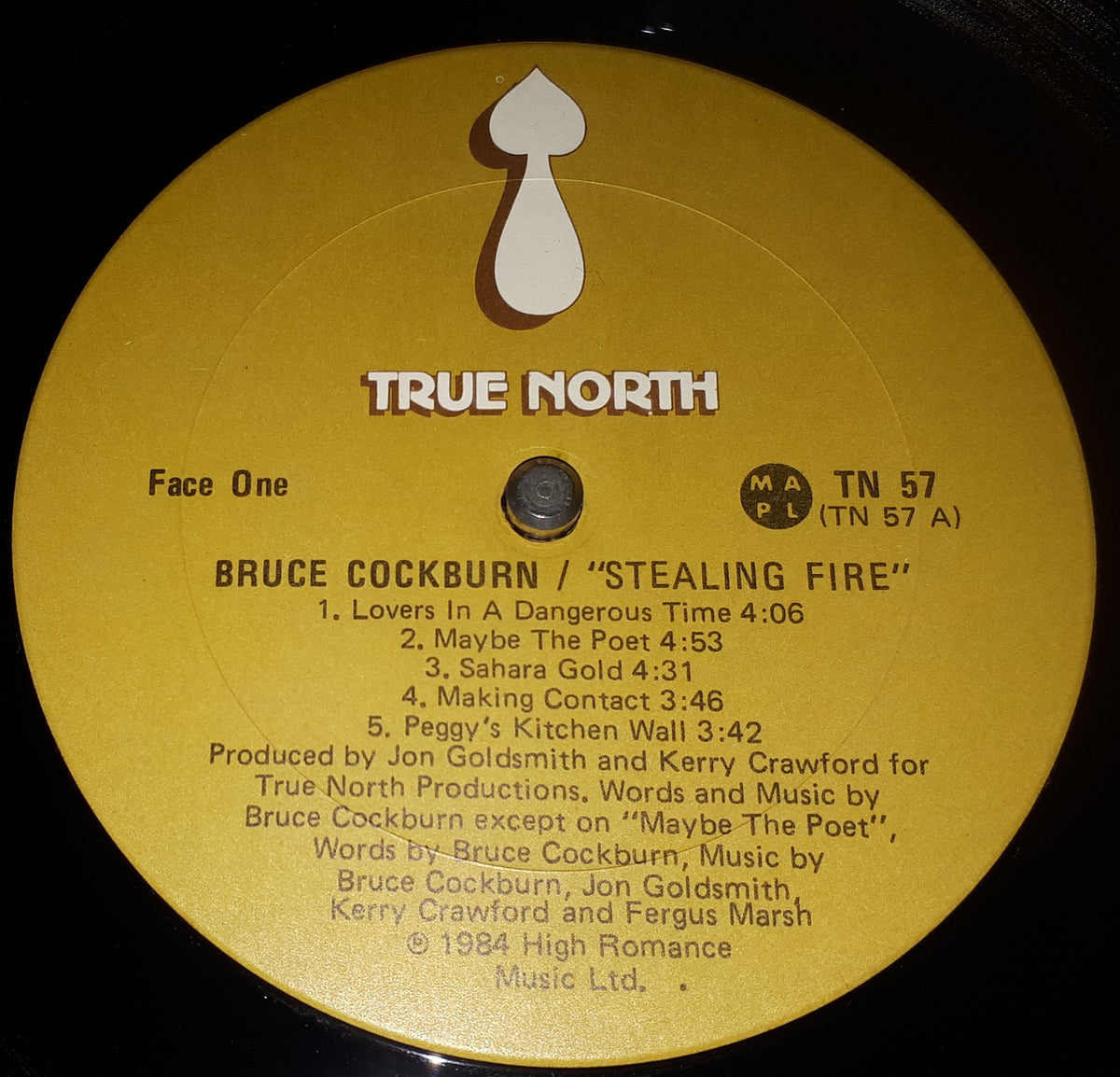 Bruce Cockburn - Stealing Fire