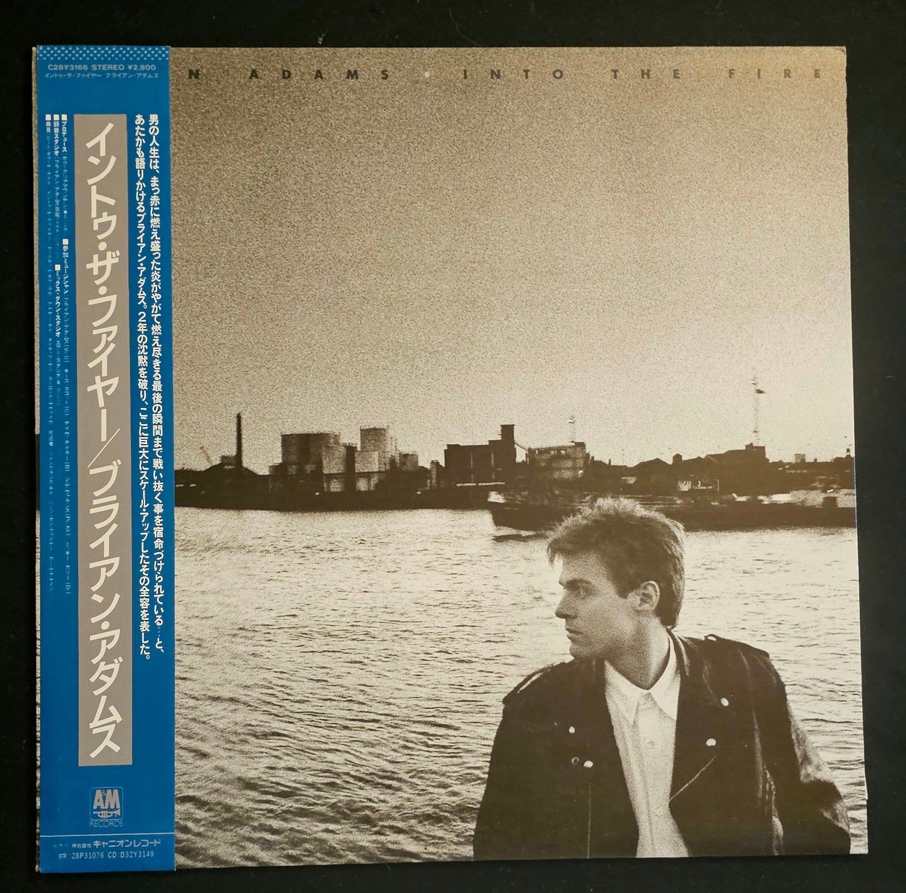 Bryan Adams - Into The Fire