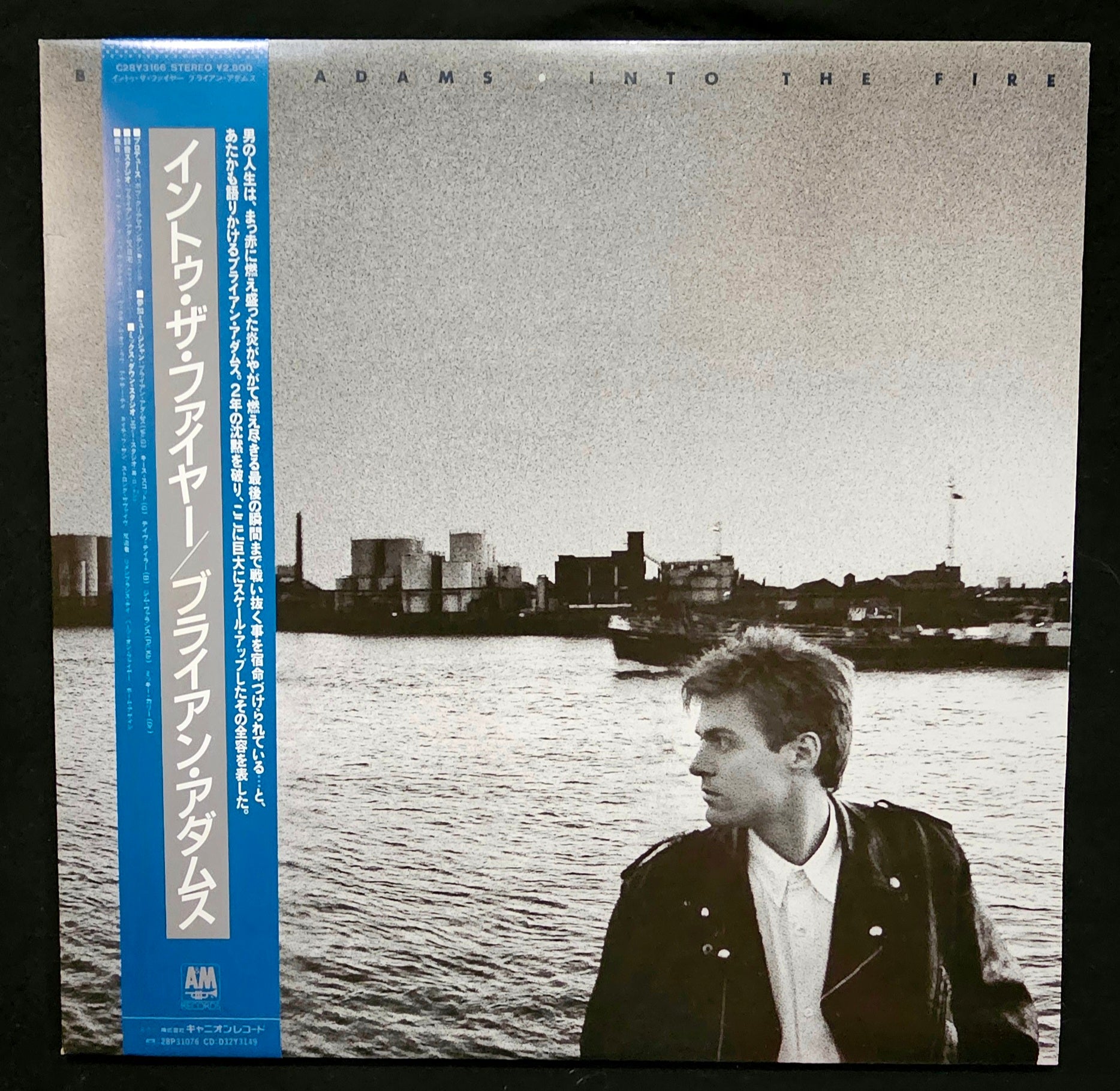 Bryan Adams - Into The Fire