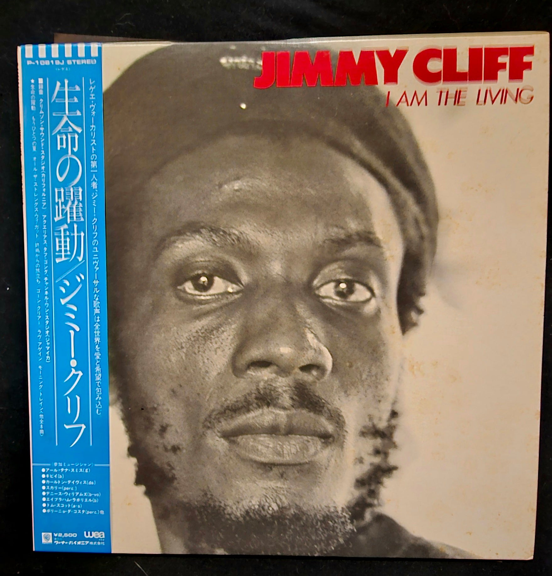 Jimmy Cliff - I Am The Living
