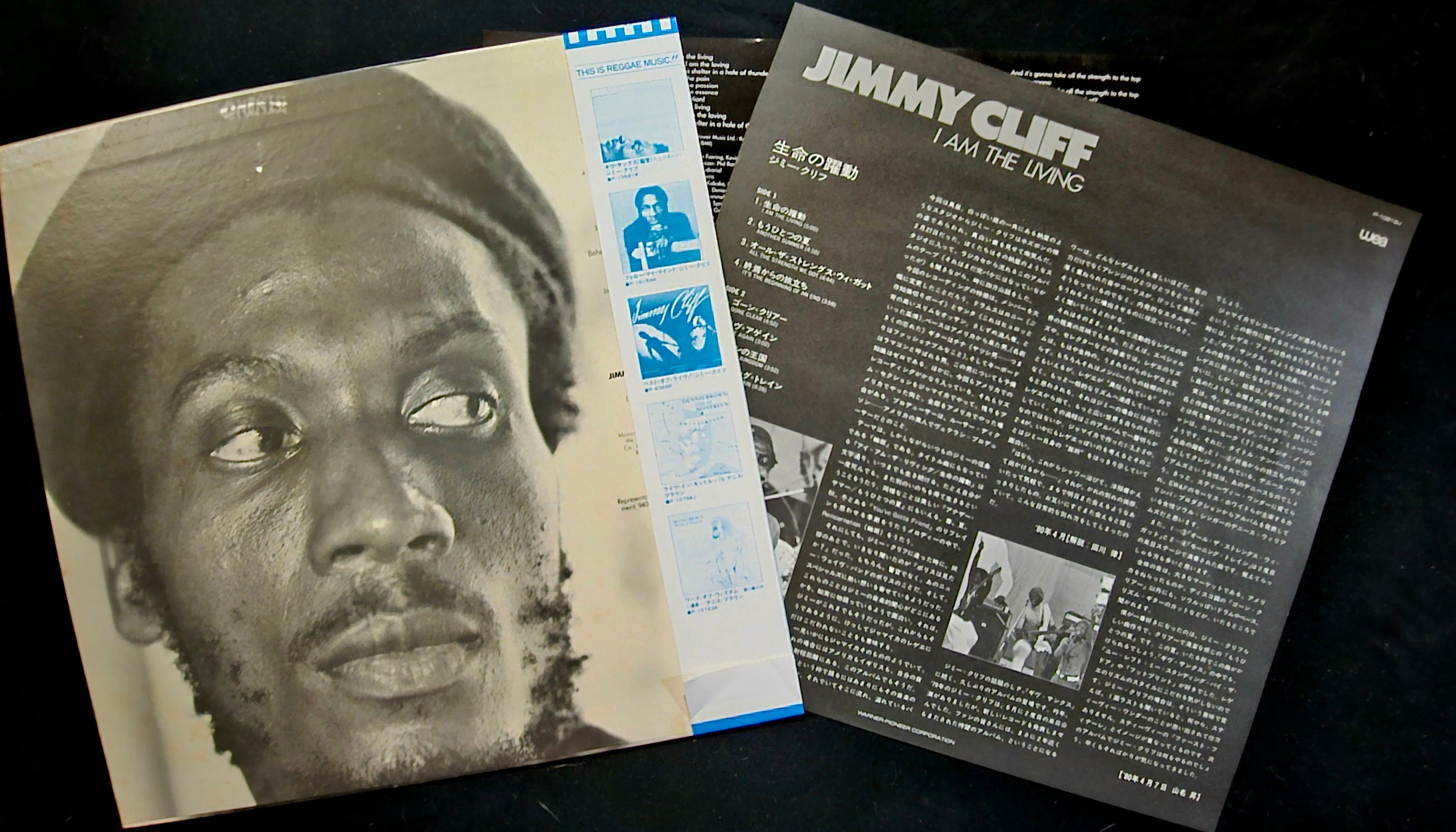 Jimmy Cliff - I Am The Living