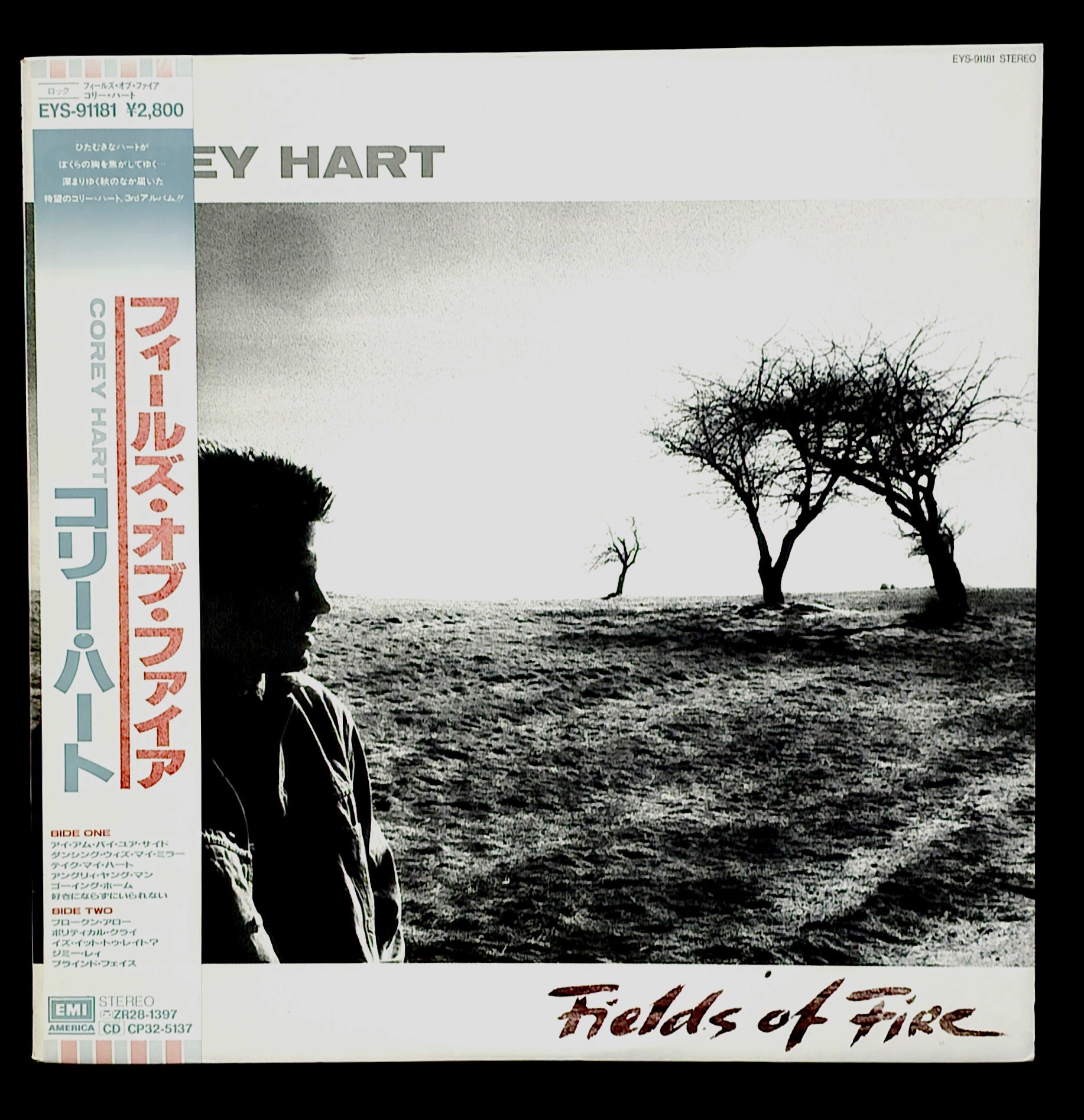 Corey Hart - Fields Of Fire