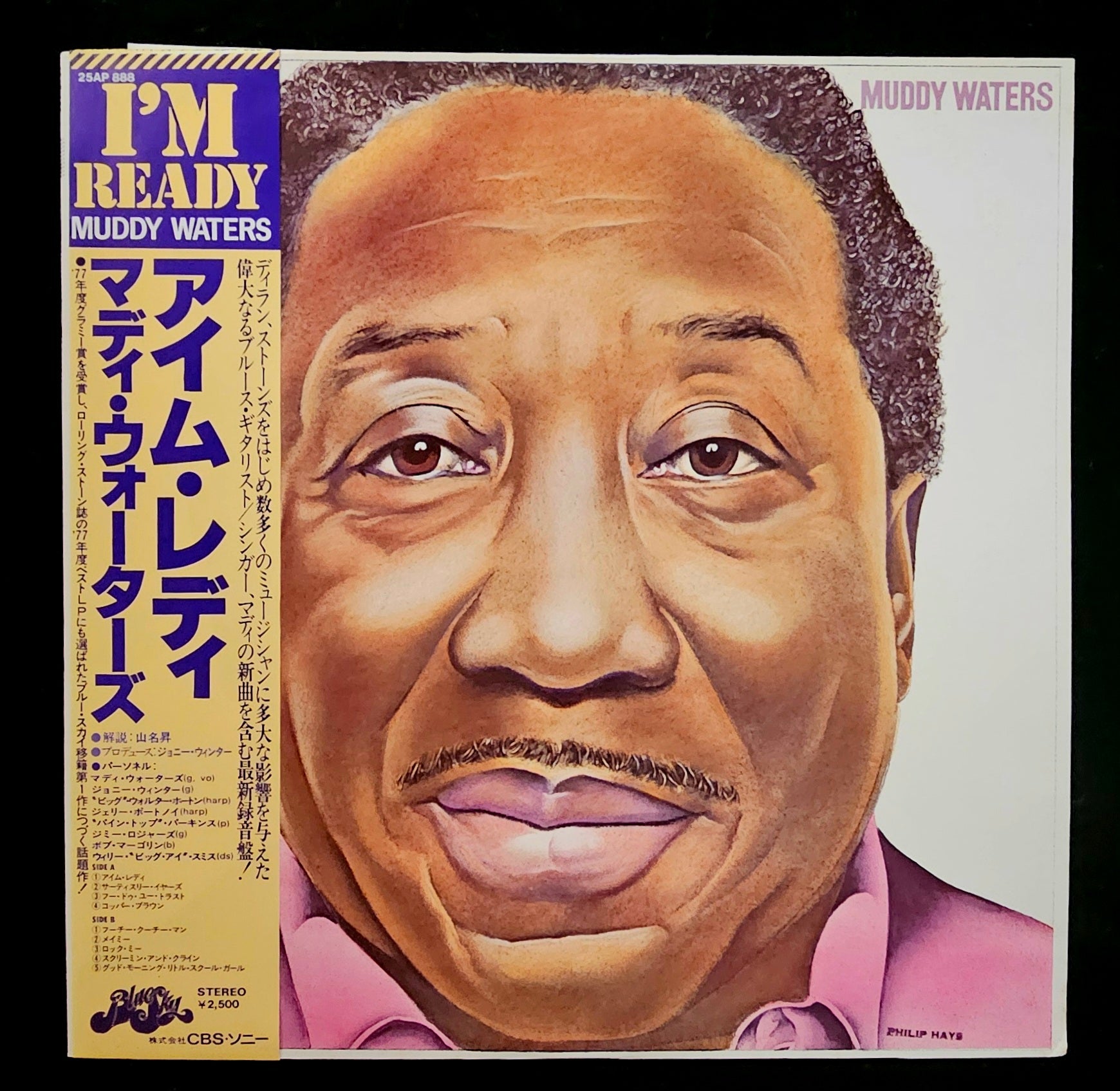 Muddy Waters - I'm Ready