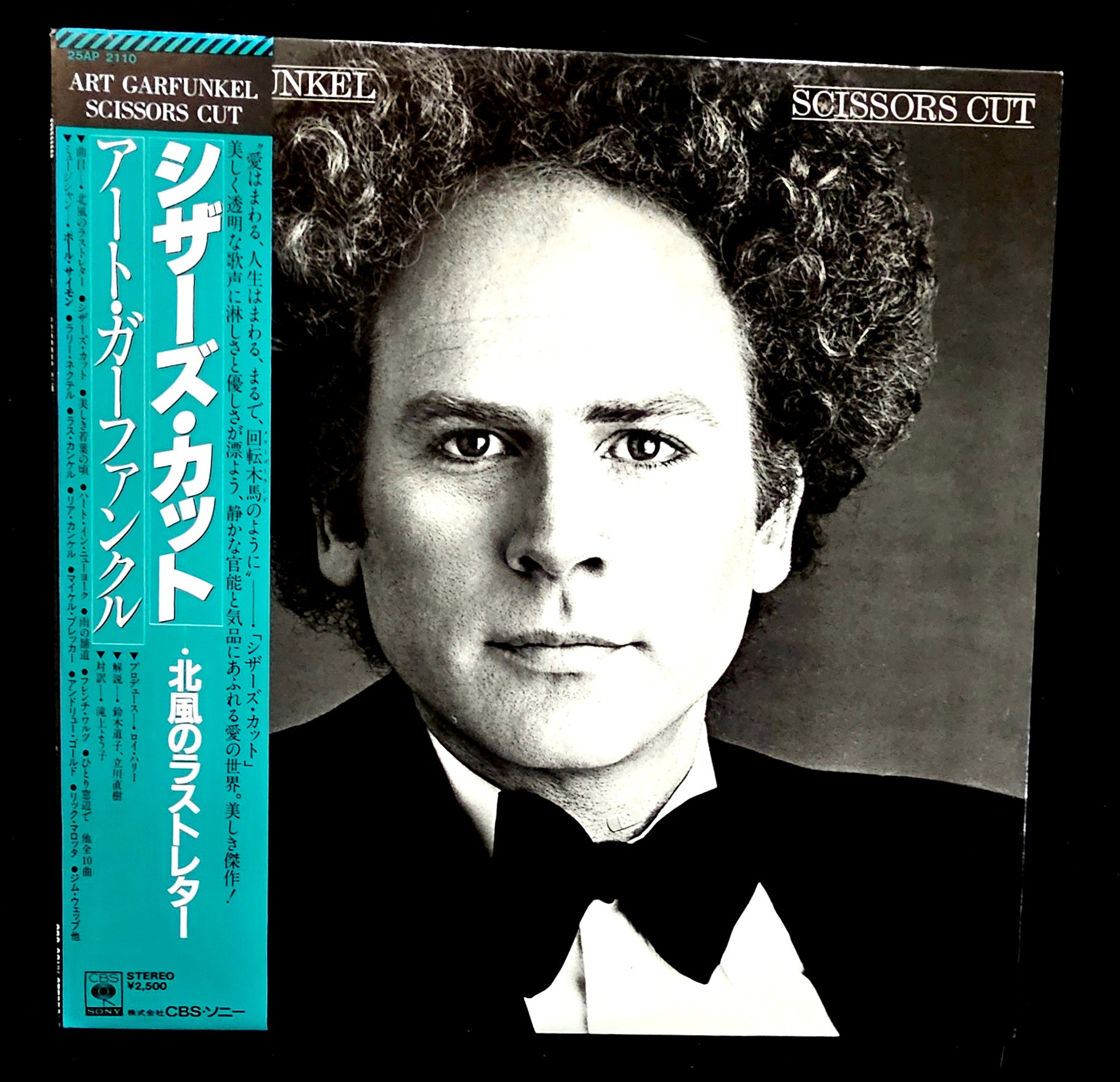 Art Garfunkel - Scissors Cut