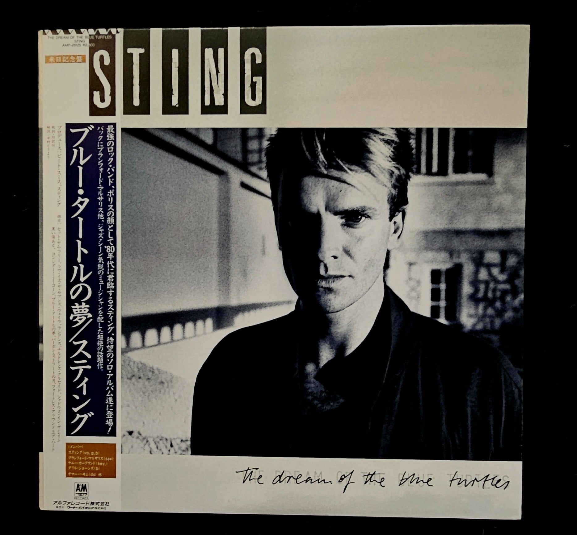 Sting - The Dream Of The Blue Turtles