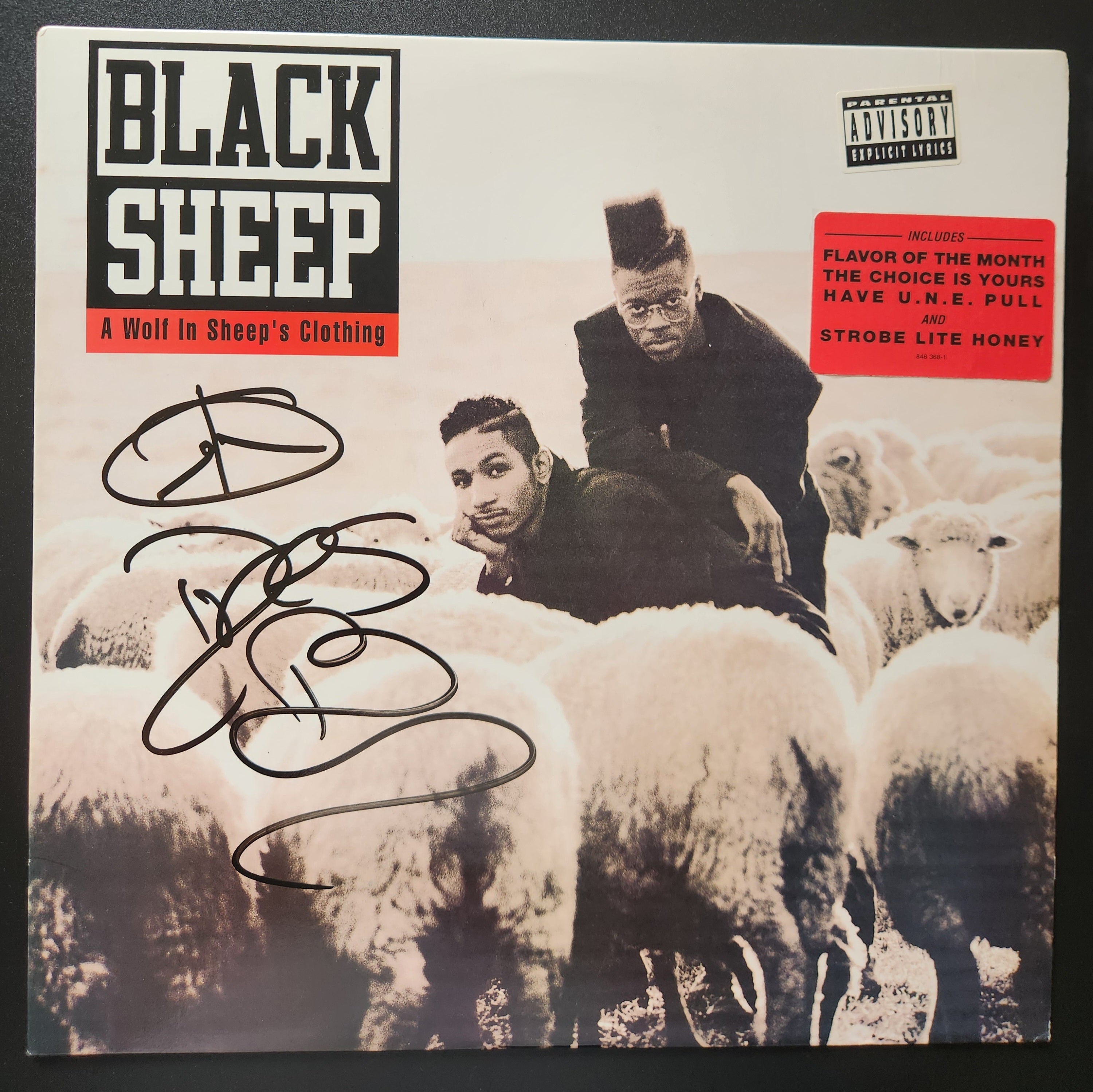 Black Sheep - A Wolf In Sheep's Clothing