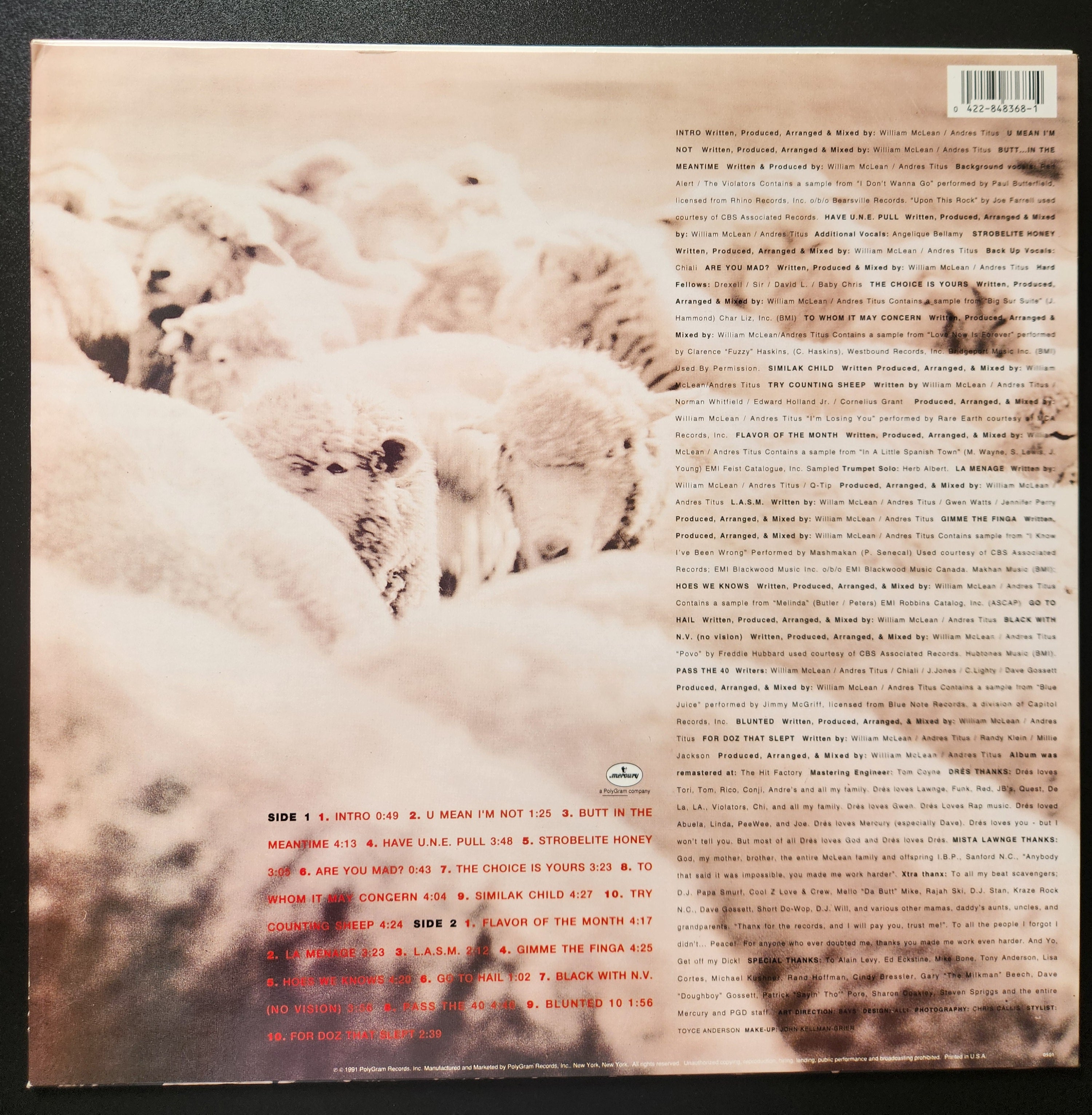 Black Sheep - A Wolf In Sheep's Clothing
