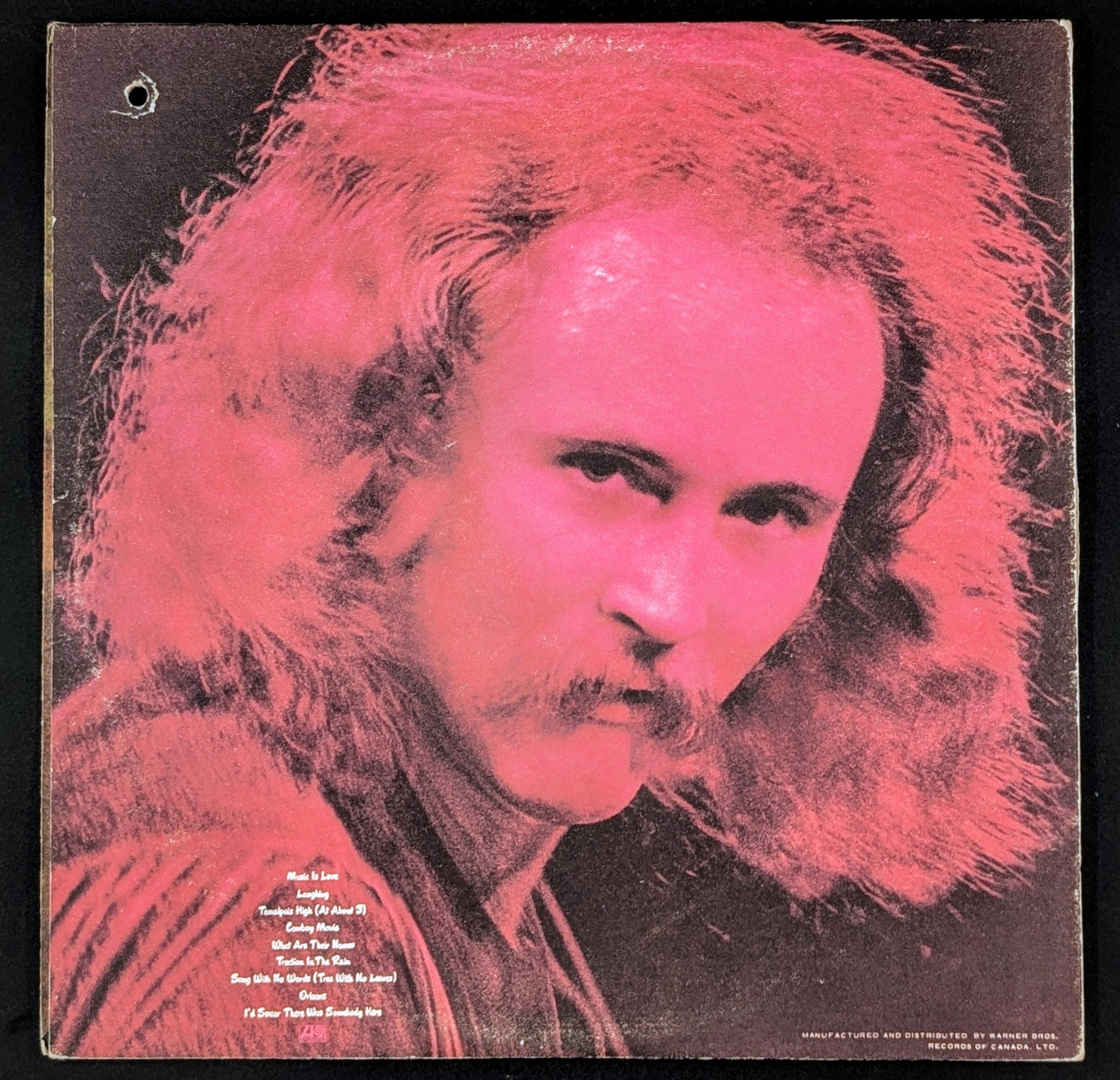 David Crosby - If I Could Only Remember My Name