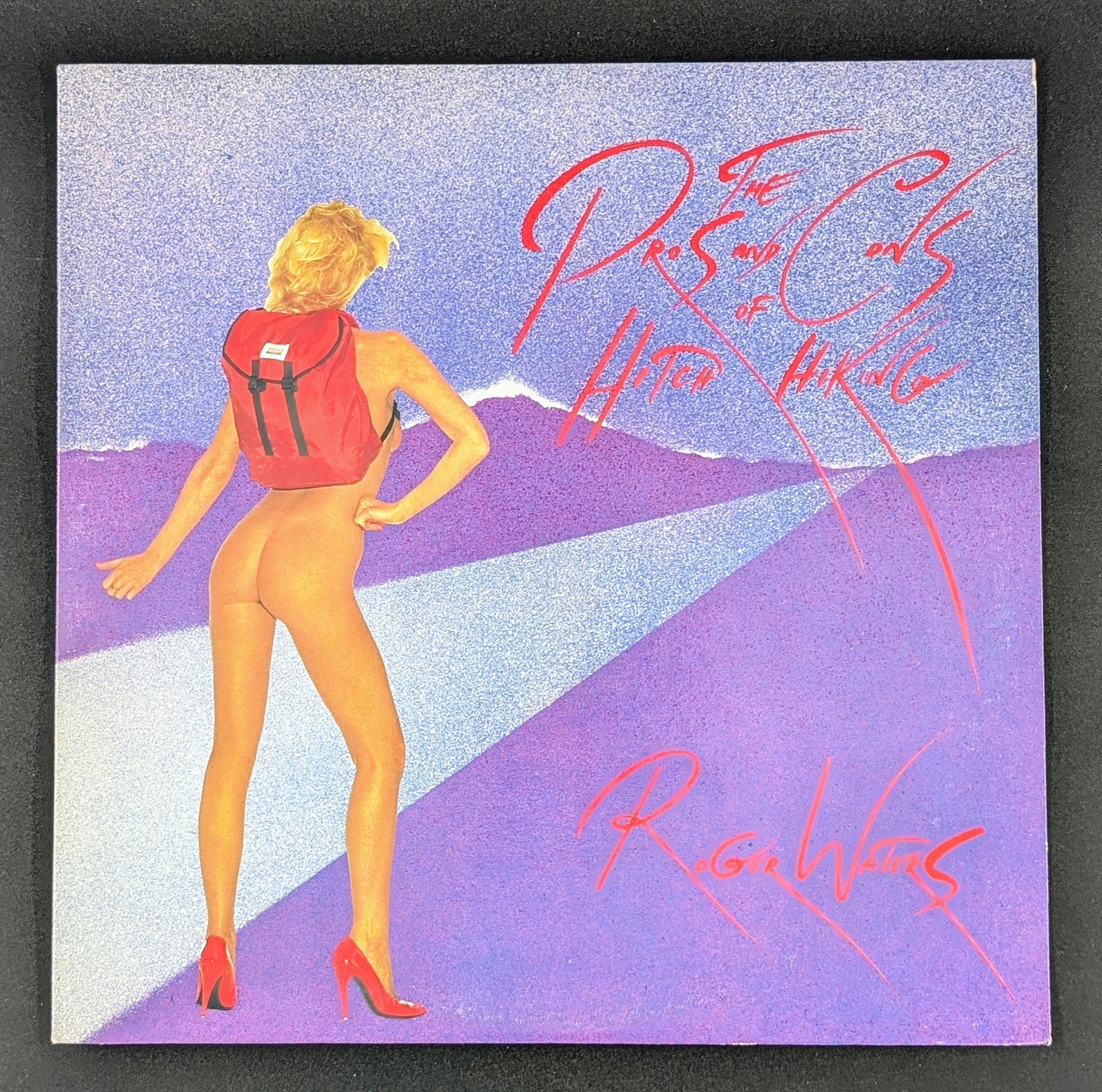 Roger Waters - The Pros And Cons Of Hitch Hiking
