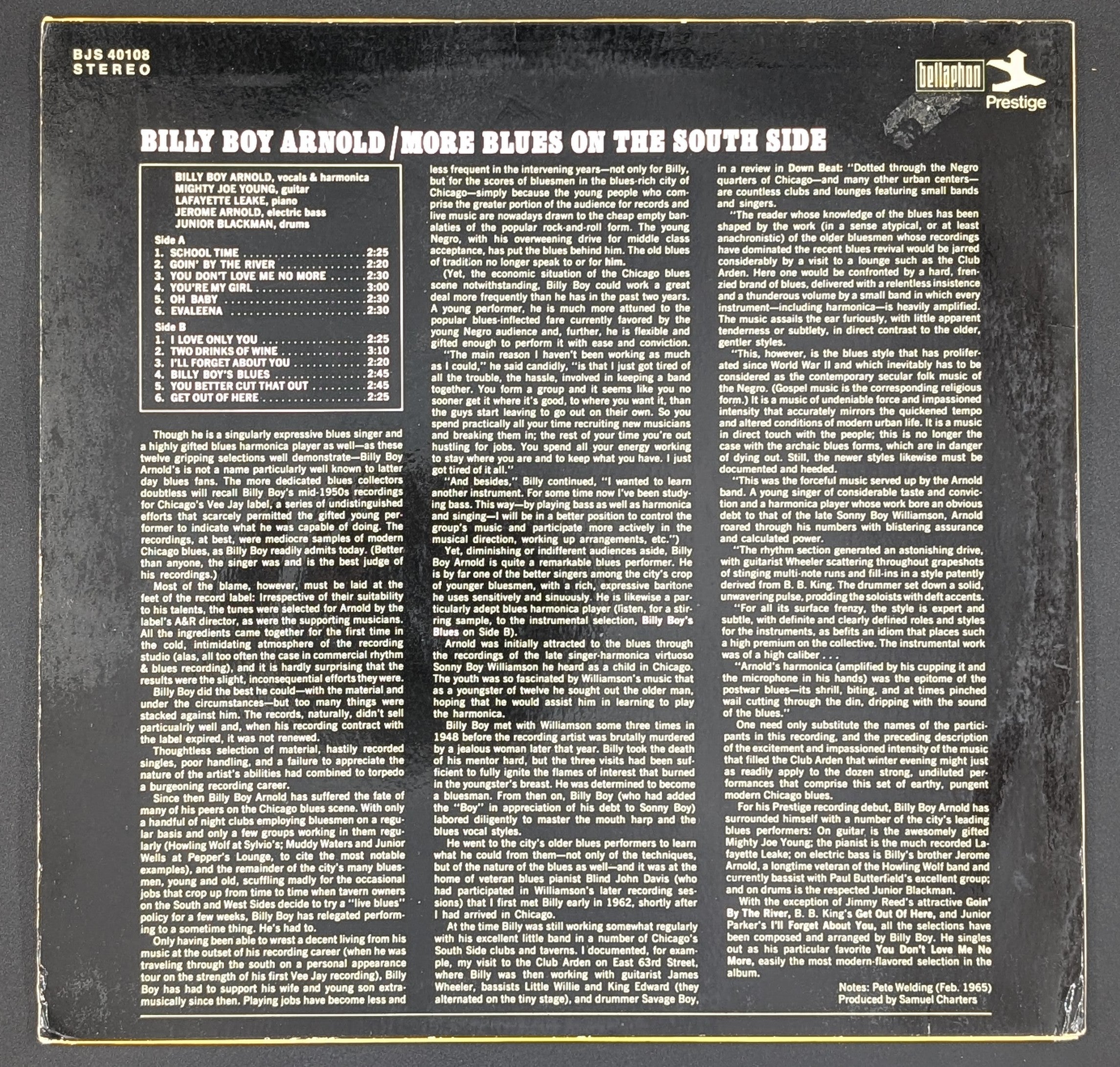 Billy Boy Arnold - More Blues On The South Side