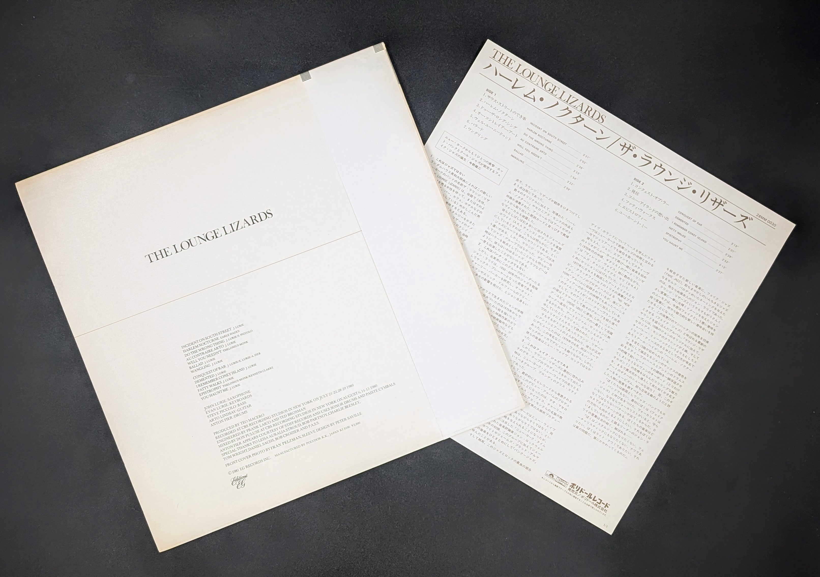 Lounge Lizards - The Lounge Lizards