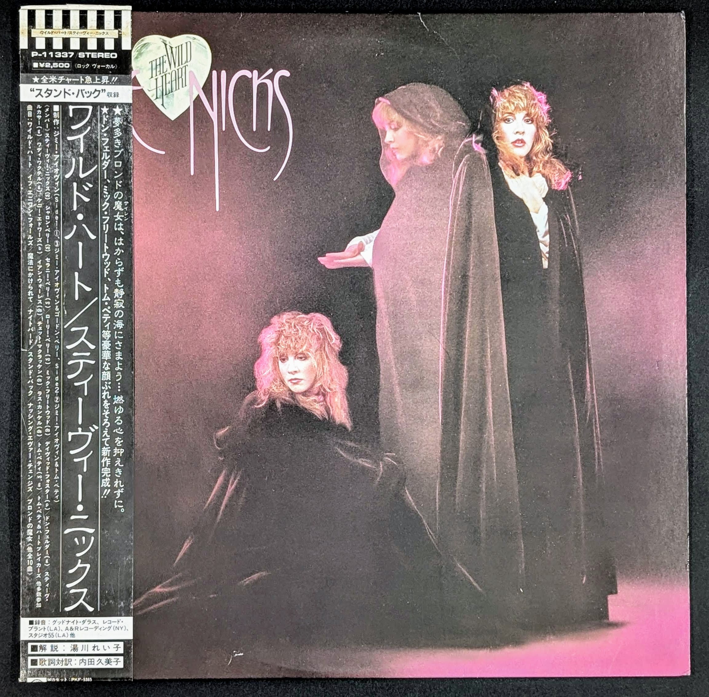 Stevie Nicks - The Wild Heart