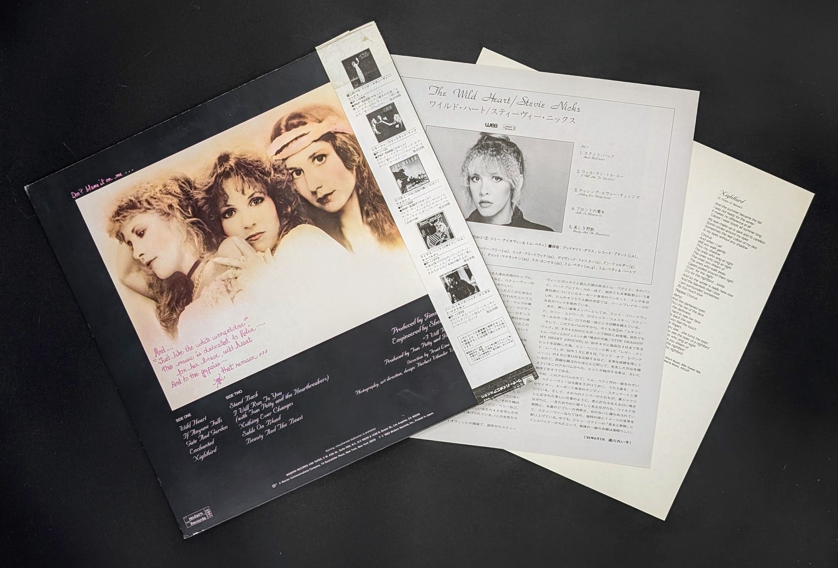 Stevie Nicks - The Wild Heart