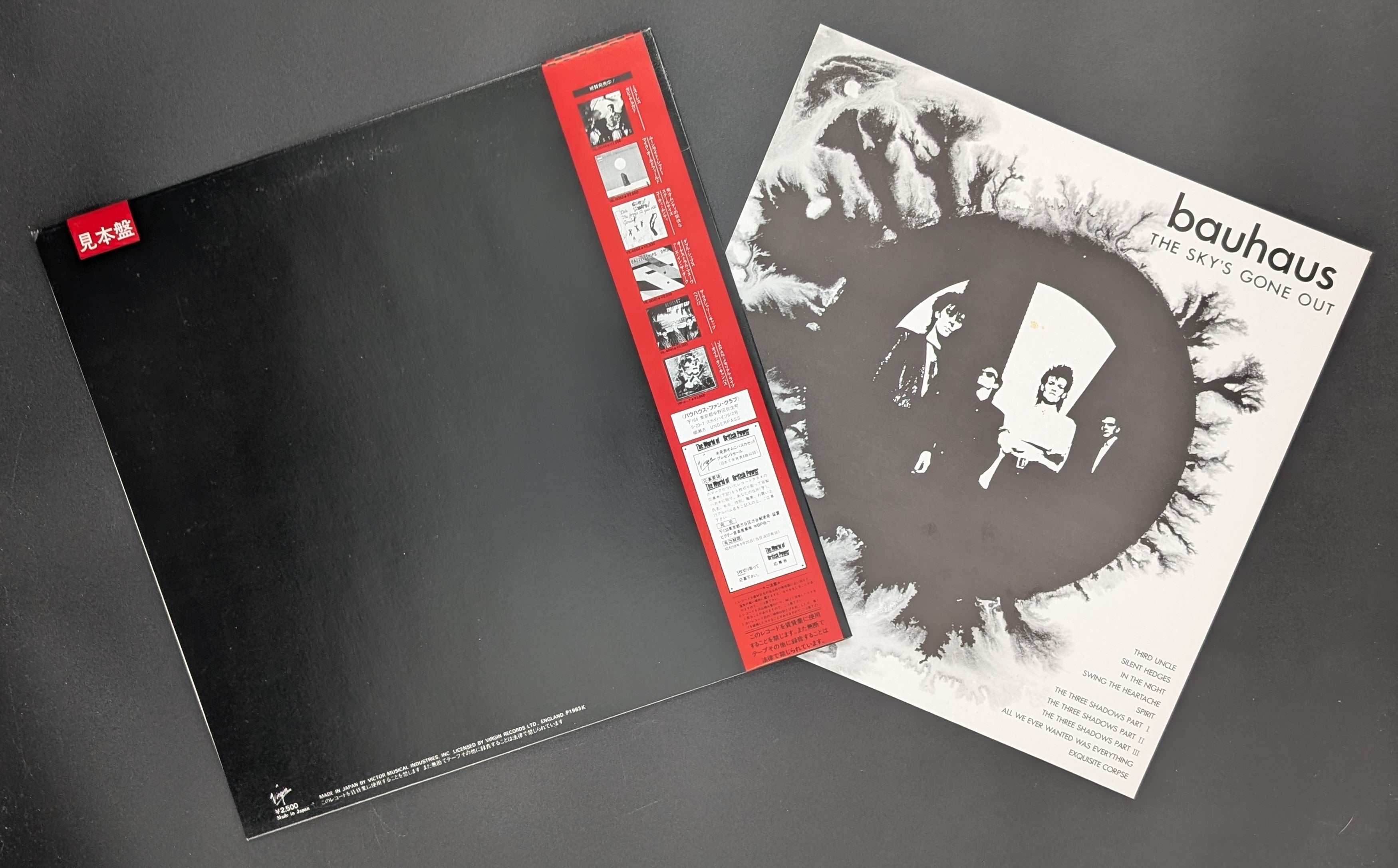 Bauhaus - The Sky's Gone Out