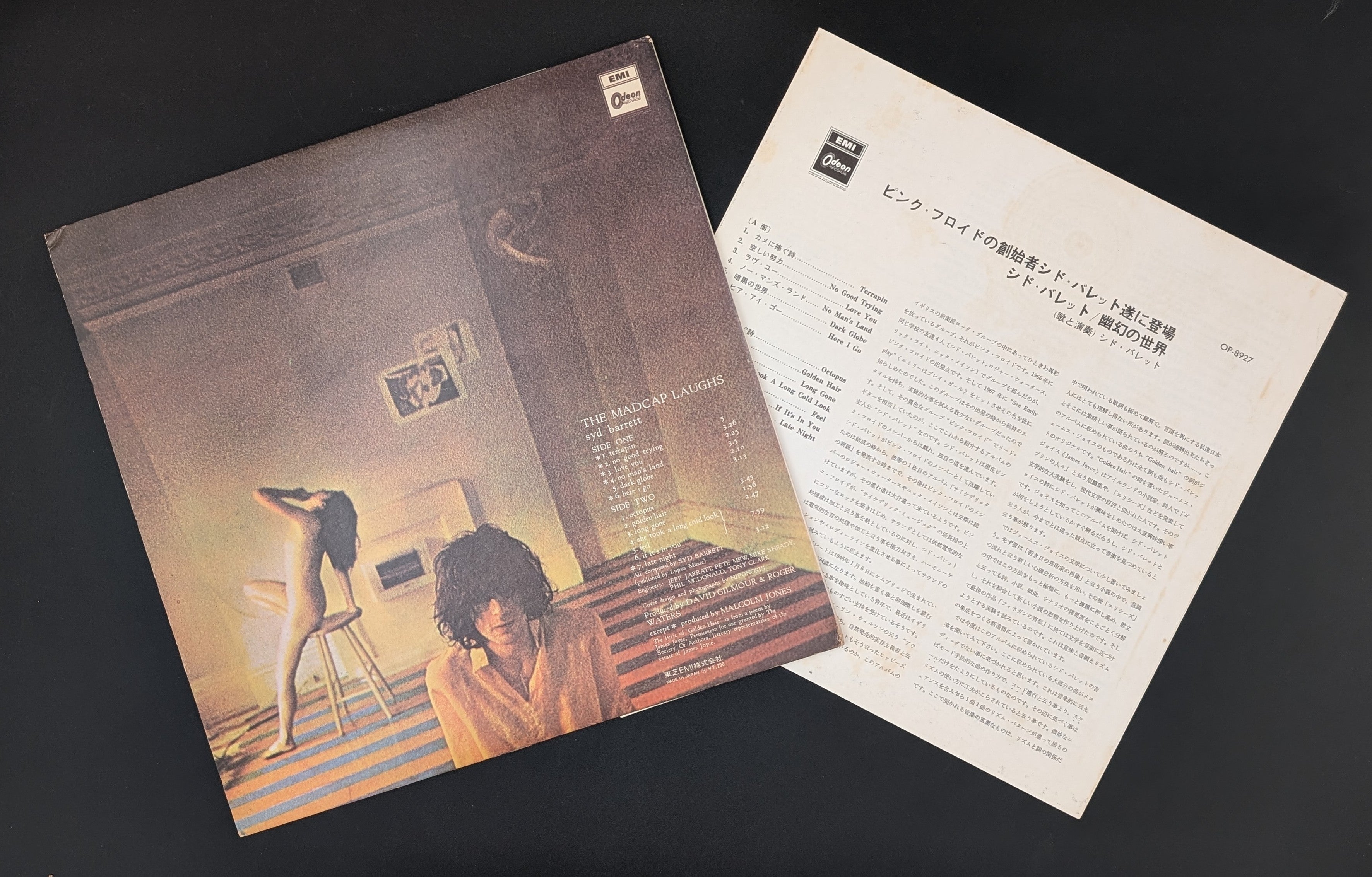 Syd Barrett - The Madcap Laughs