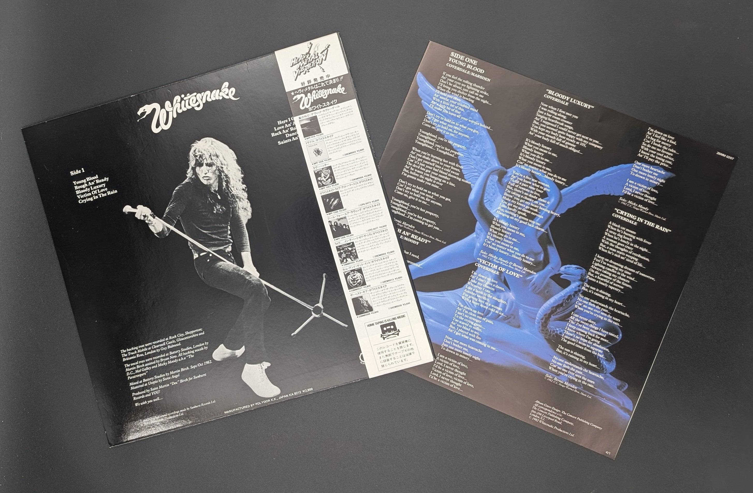 Whitesnake - Saints & Sinners