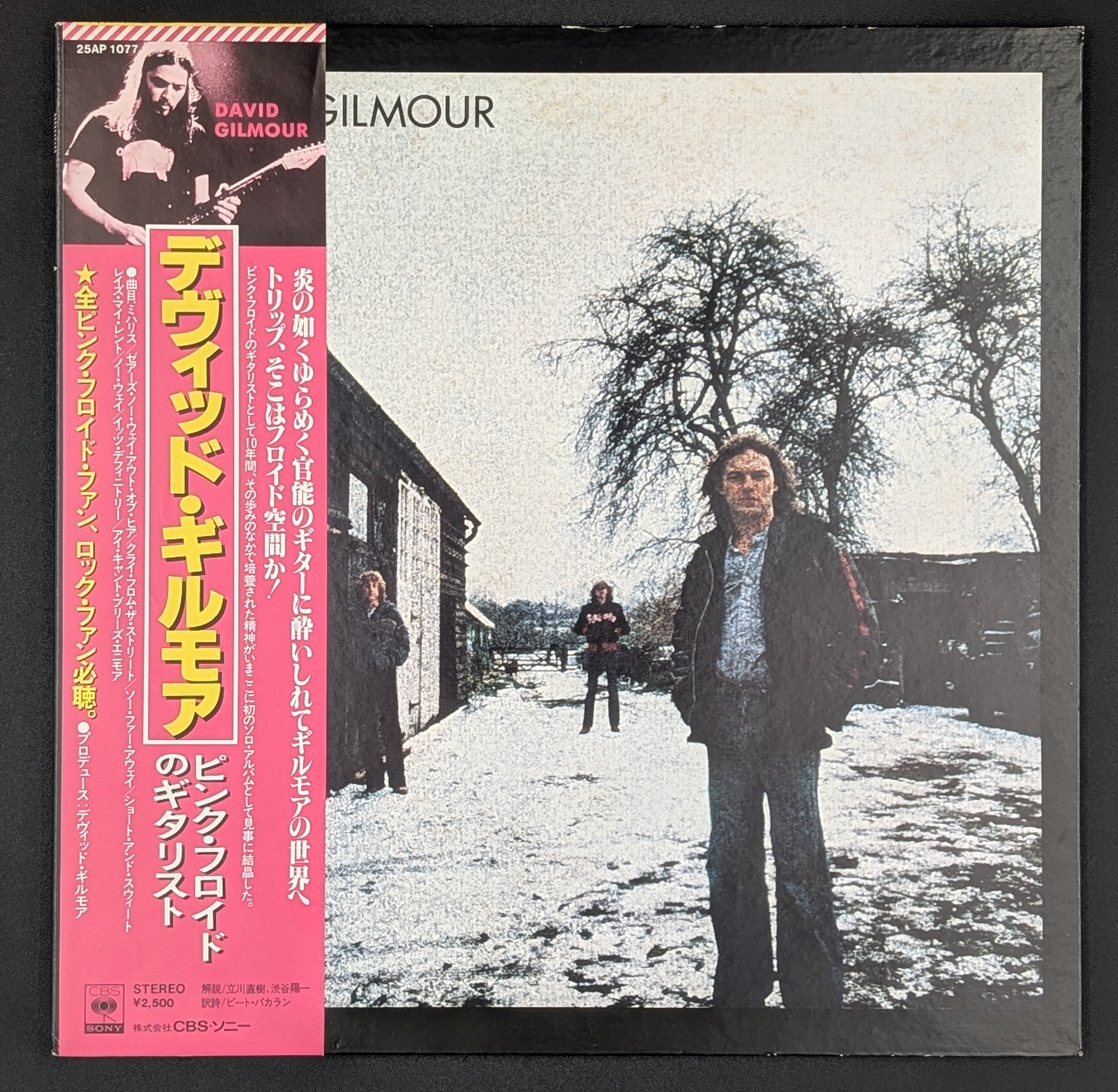 David Gilmour - David Gilmour