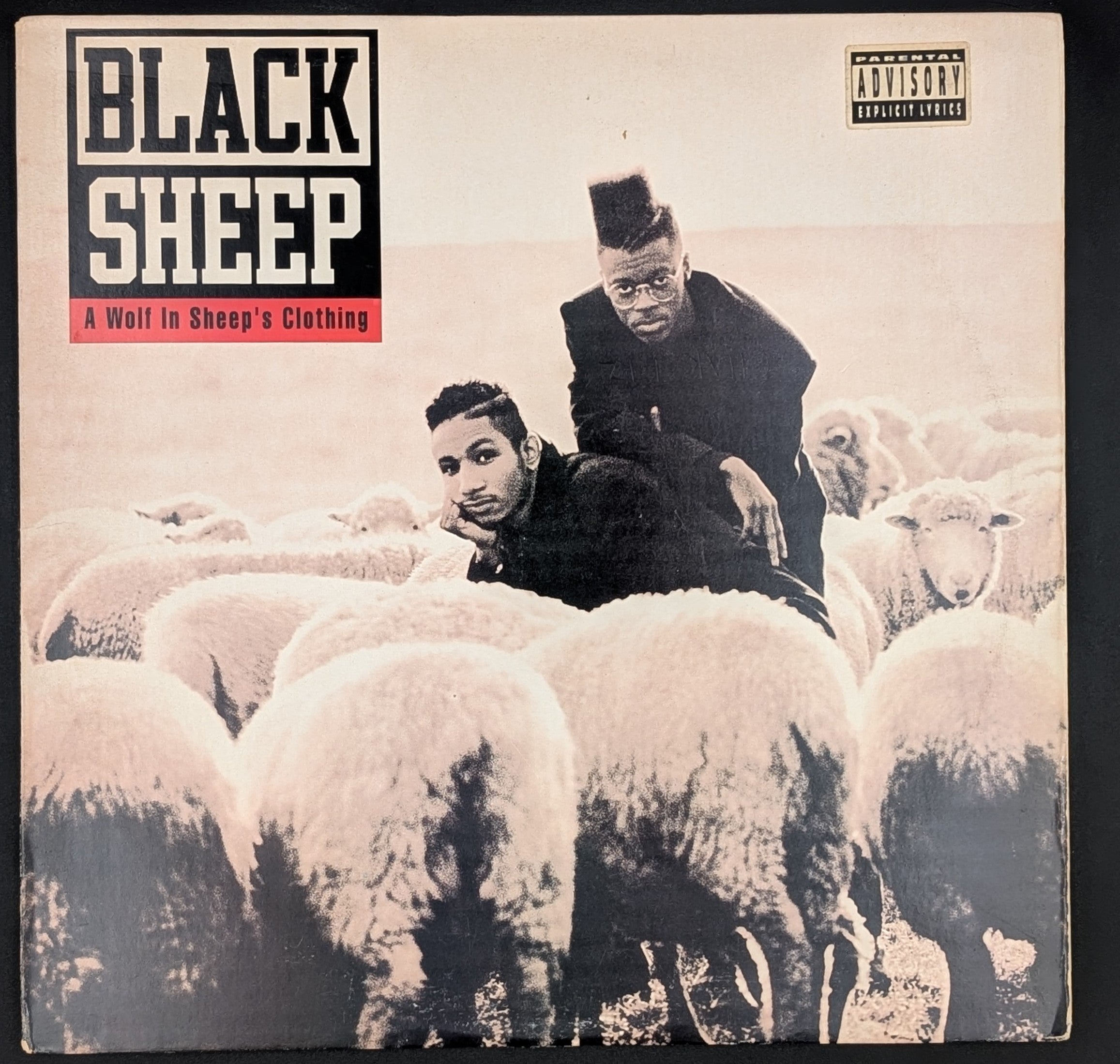 Black Sheep - A Wolf In Sheep's Clothing