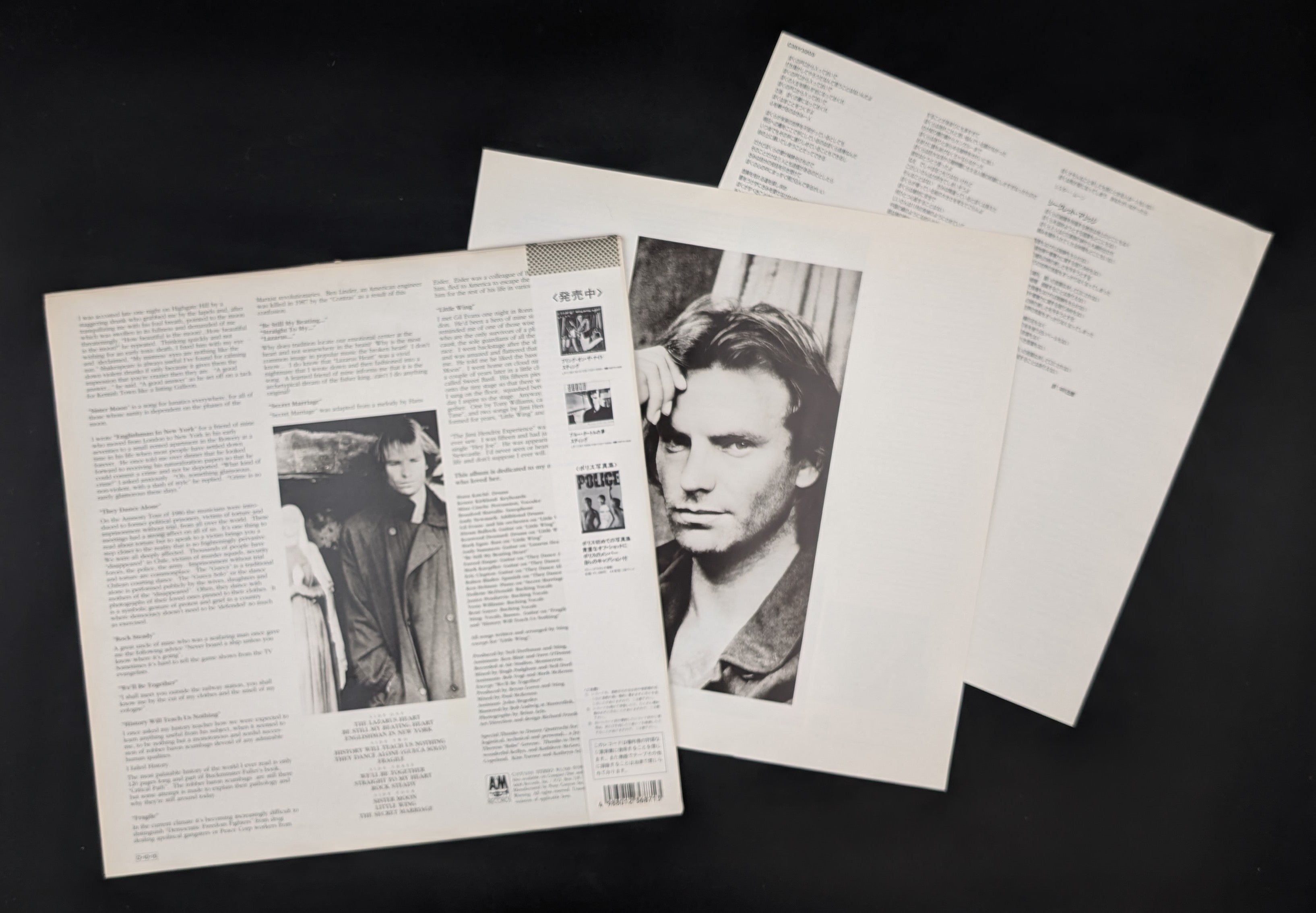 Sting - ...Nothing Like The Sun