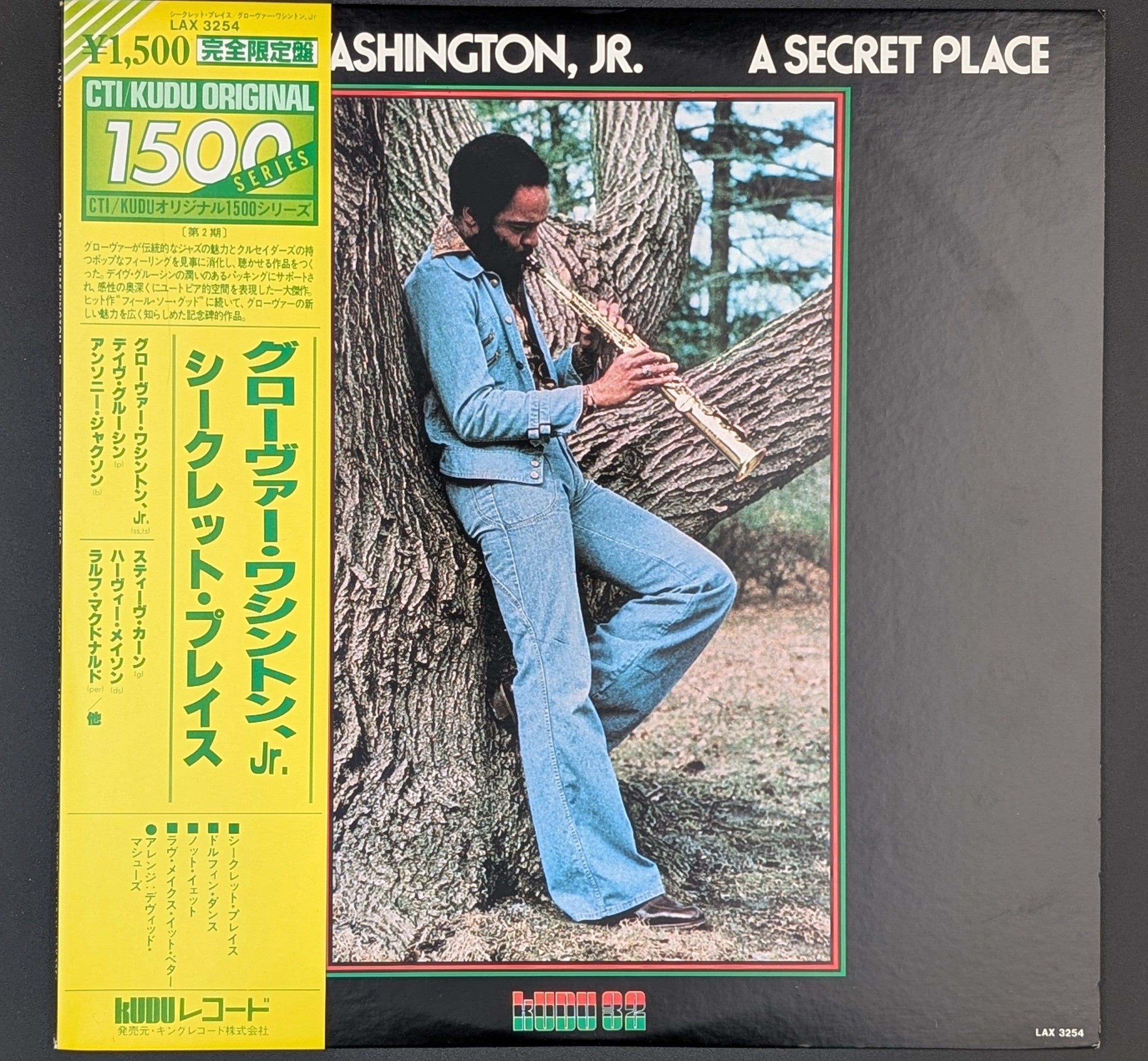 Grover Washington, Jr. - A Secret Place