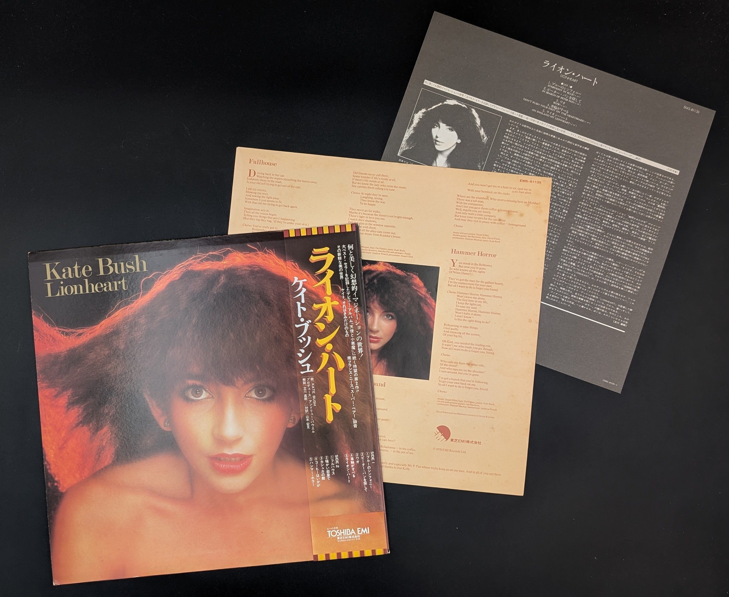 Kate Bush - Lionheart  ライオン・ハート