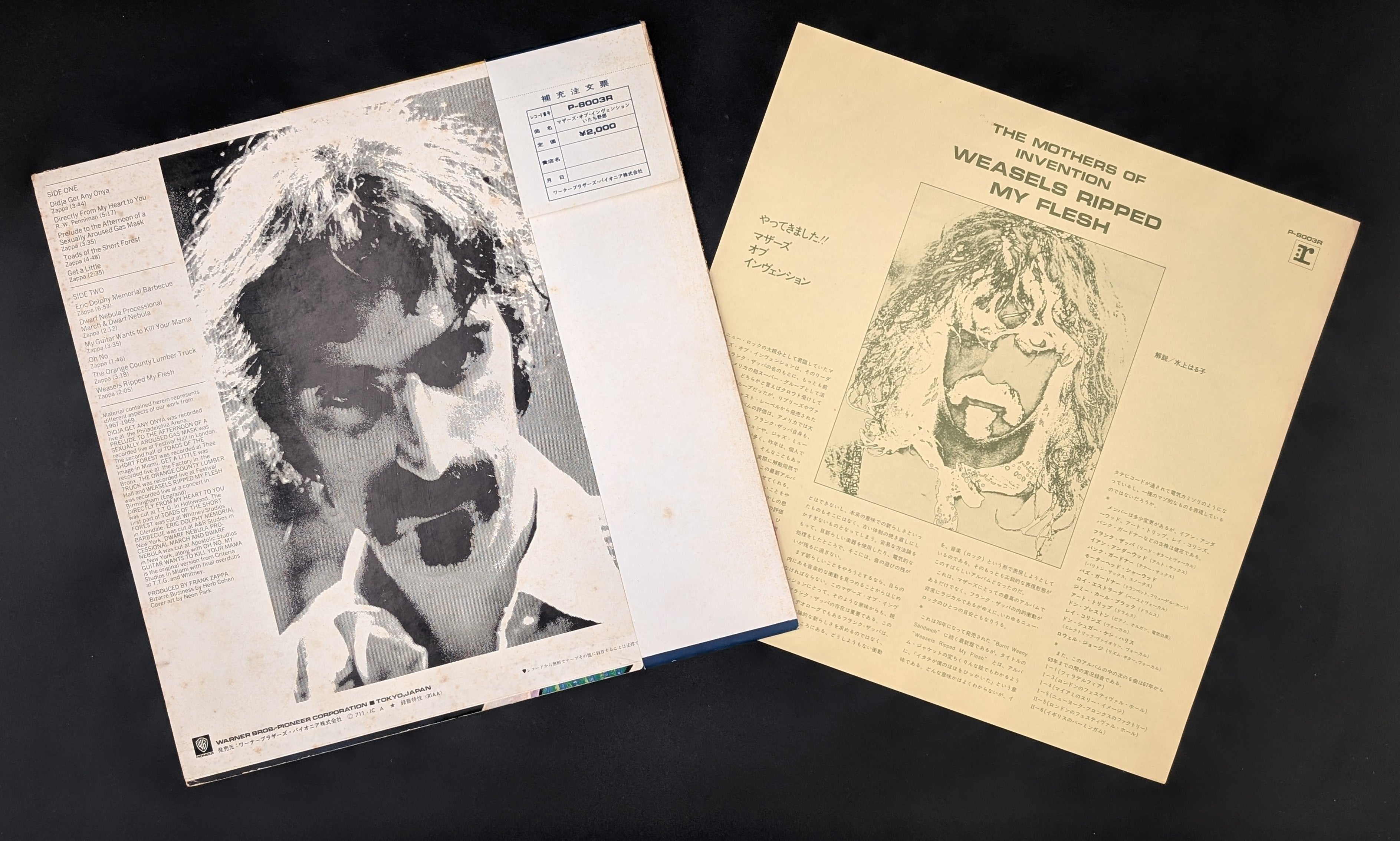 The Mothers - Weasels Ripped My Flesh