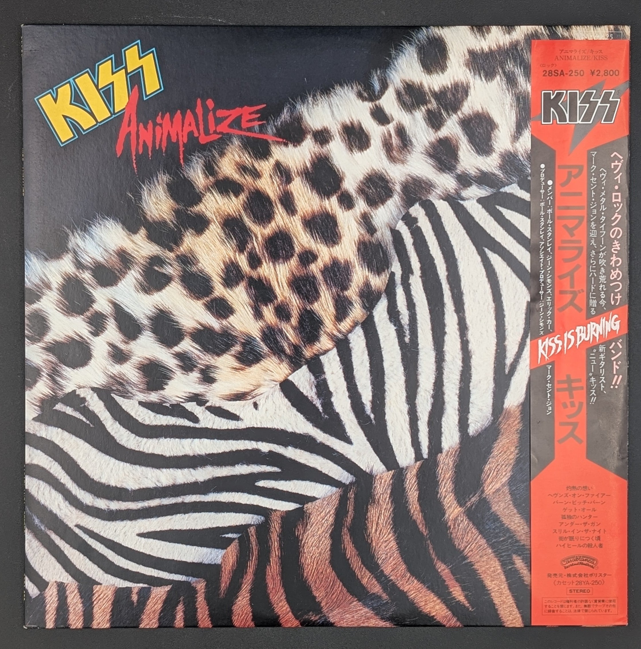 Kiss - Animalize