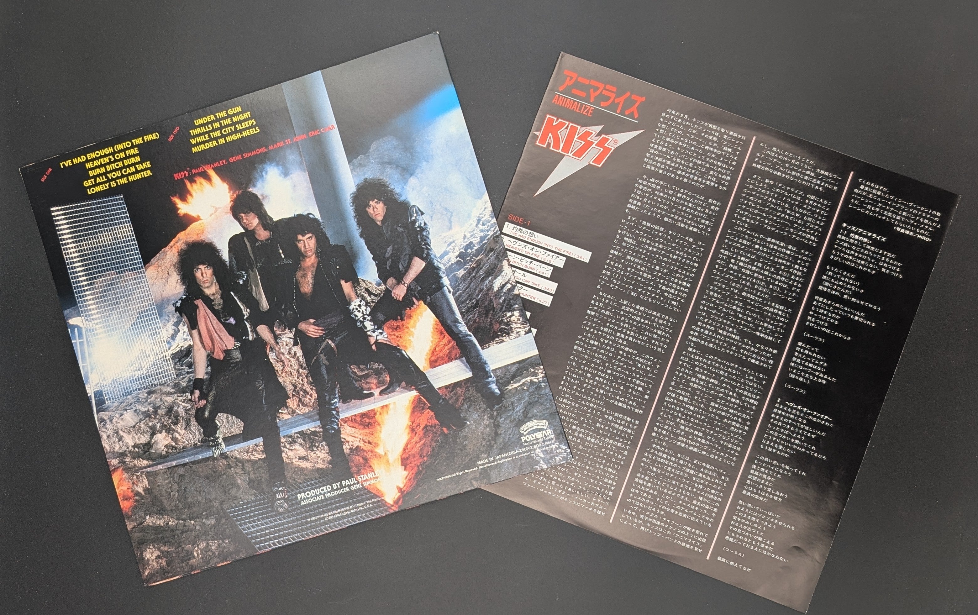 Kiss - Animalize