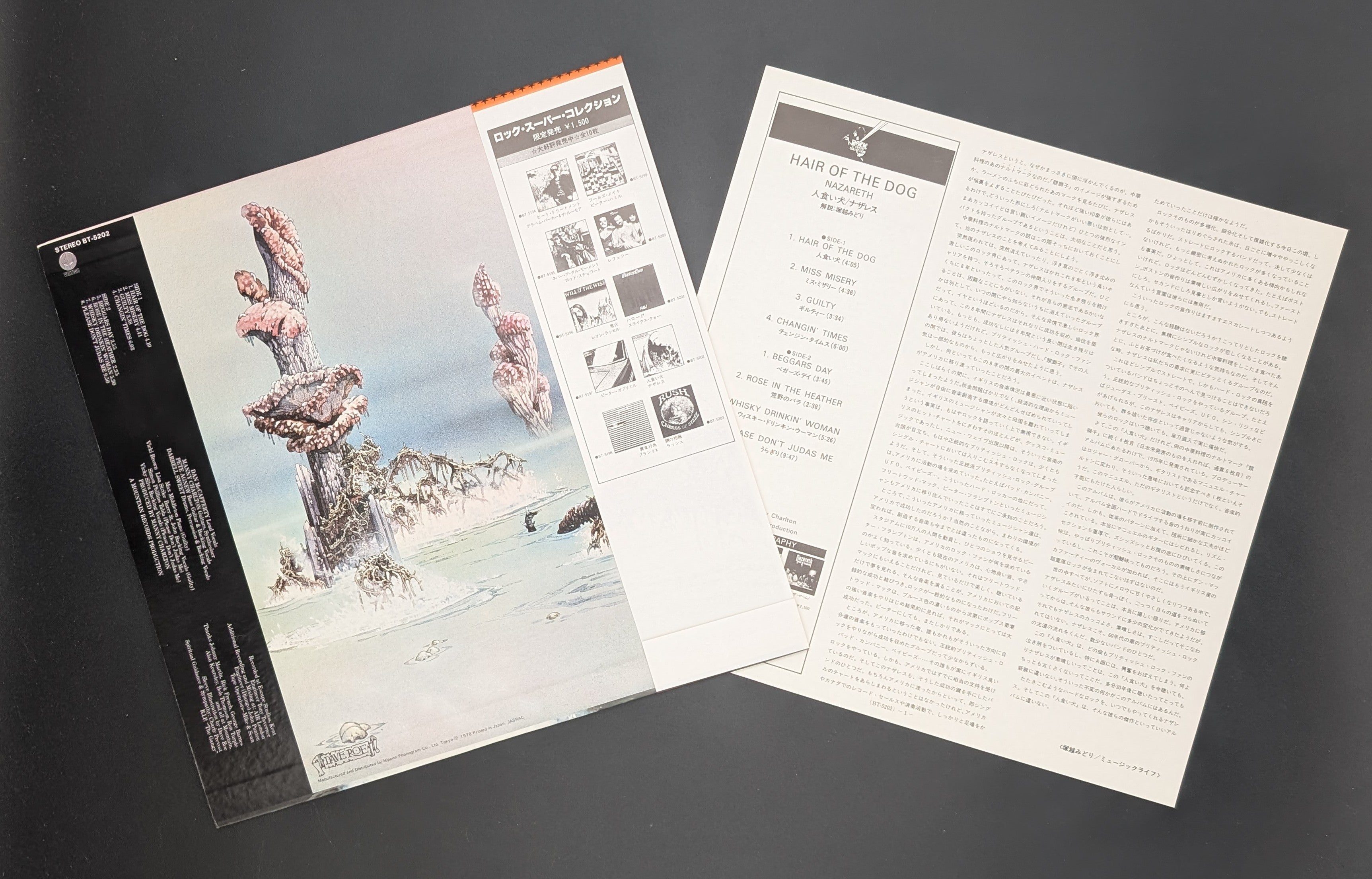 Nazareth - Hair Of The Dog