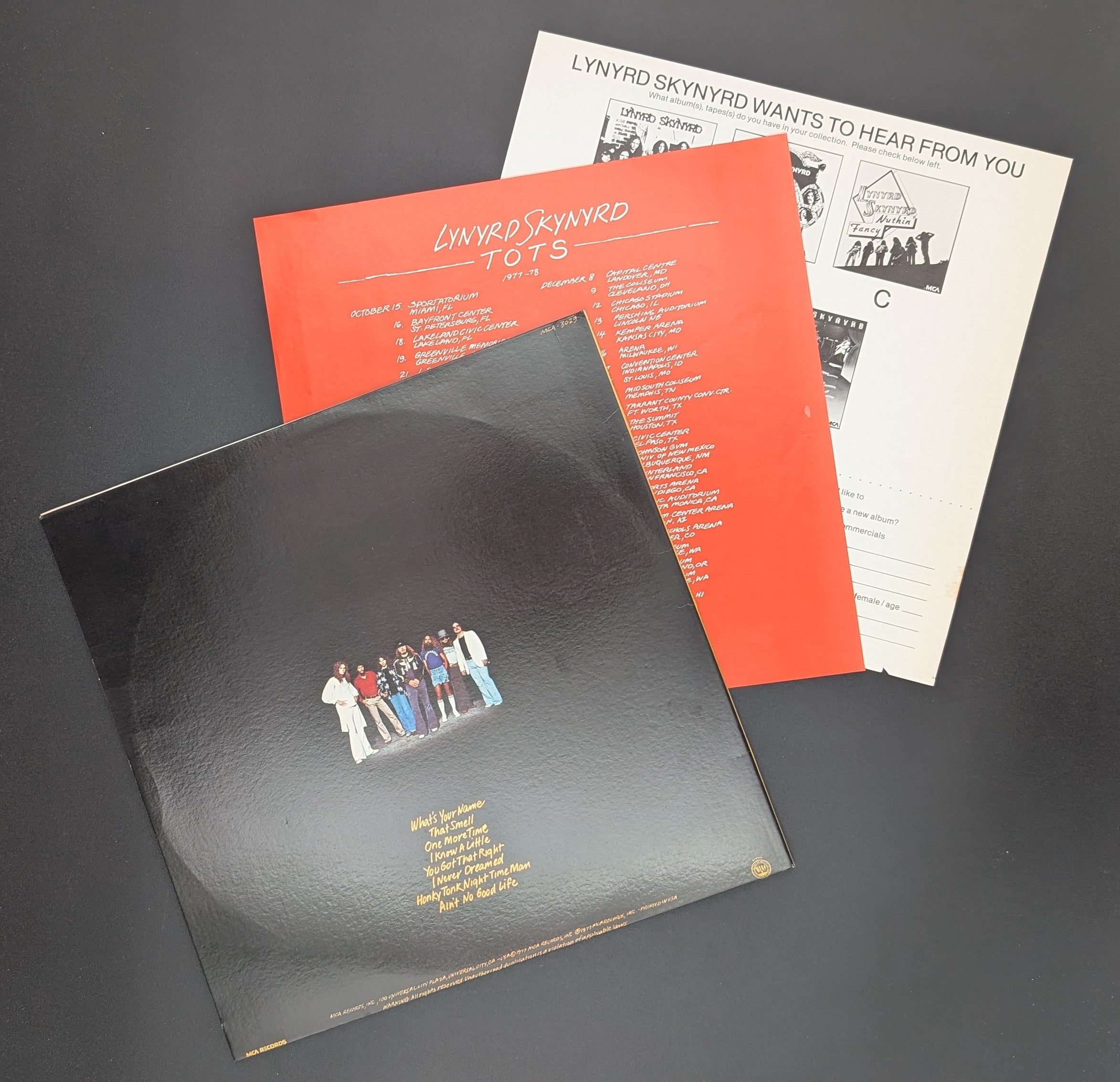 Lynyrd Skynyrd - Street Survivors