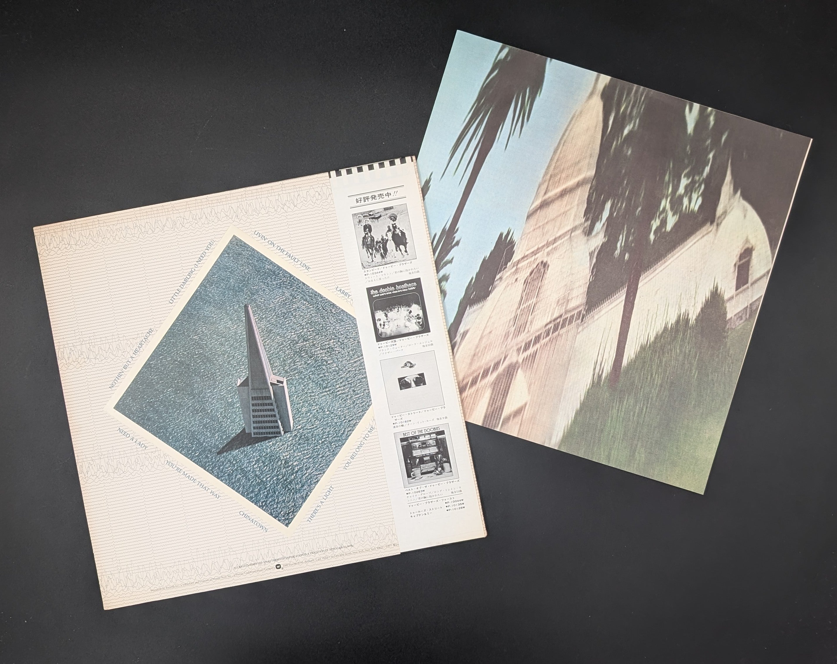 The Doobie Brothers - Livin' On The Fault Line