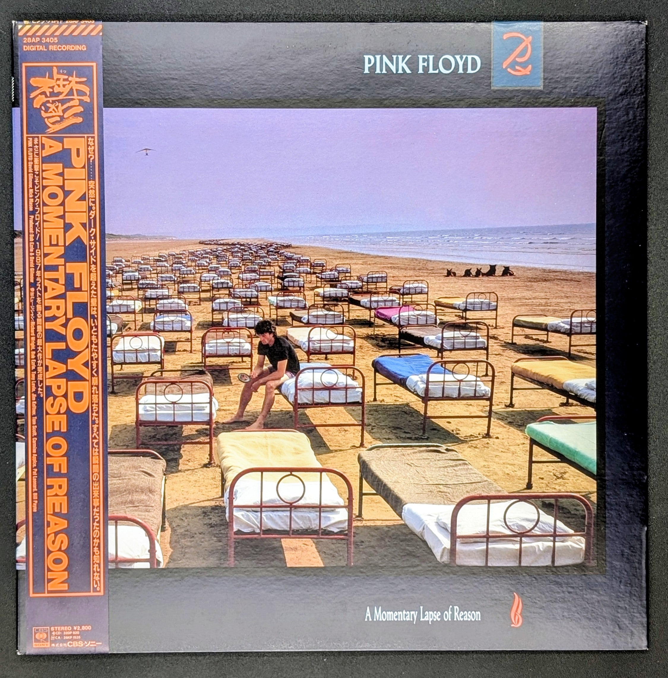 Pink Floyd - A Momentary Lapse Of Reason 鬱