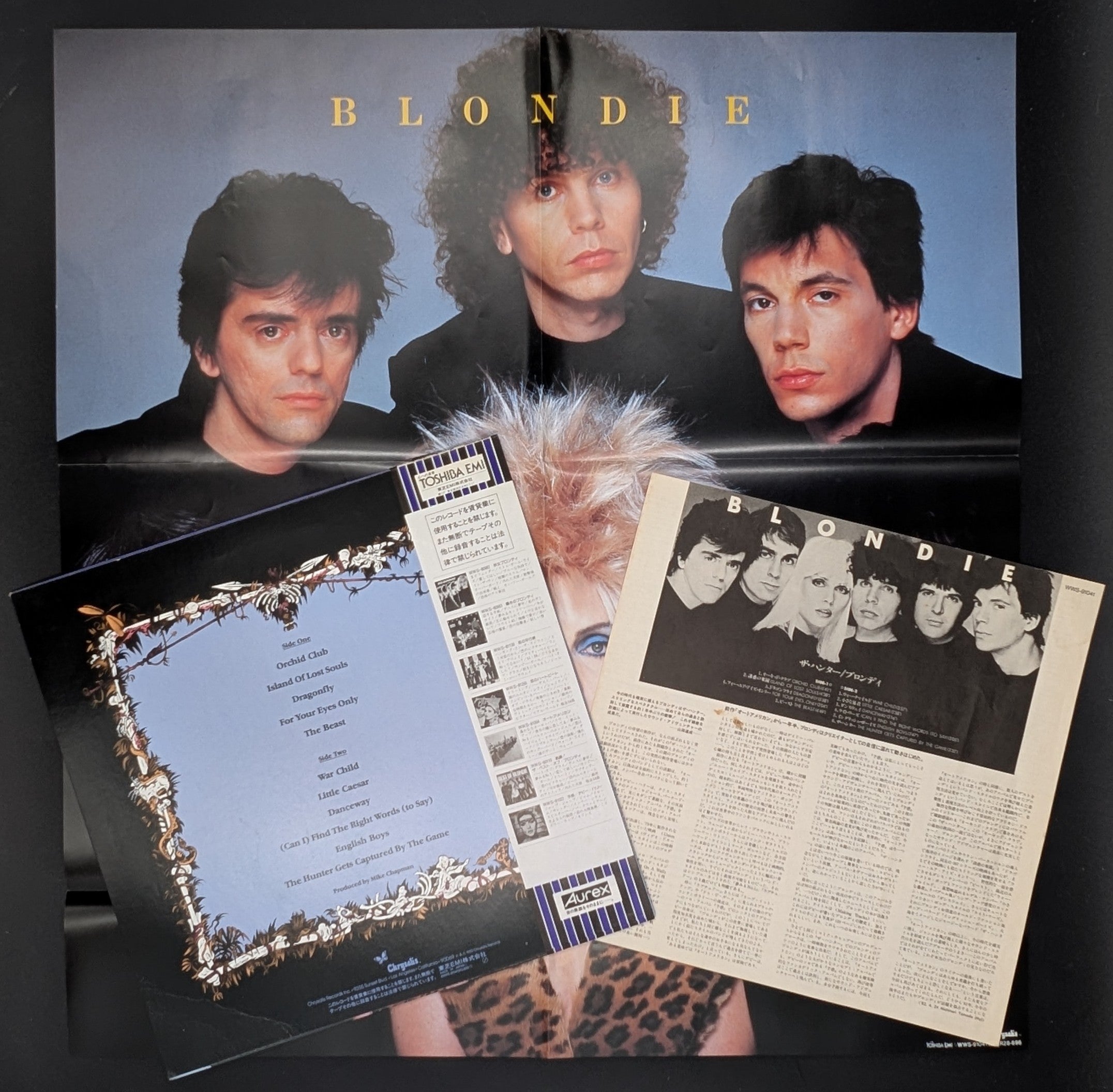 Blondie - The Hunter