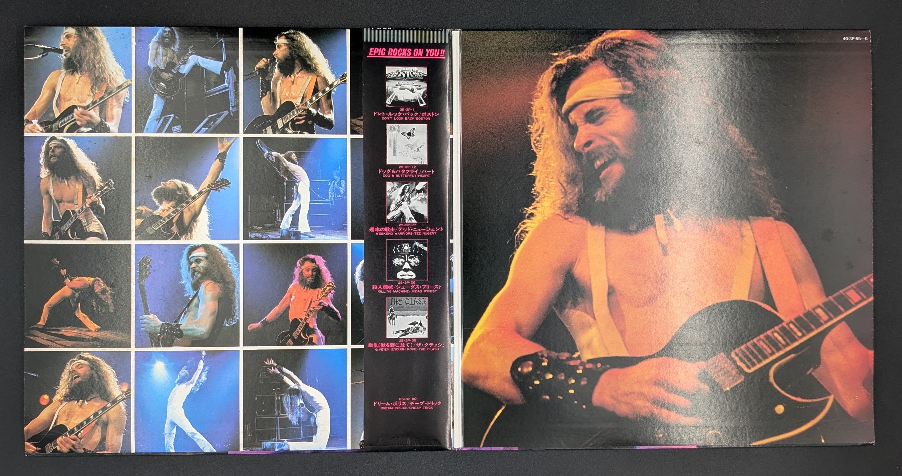 Ted Nugent - Double Live Gonzo!