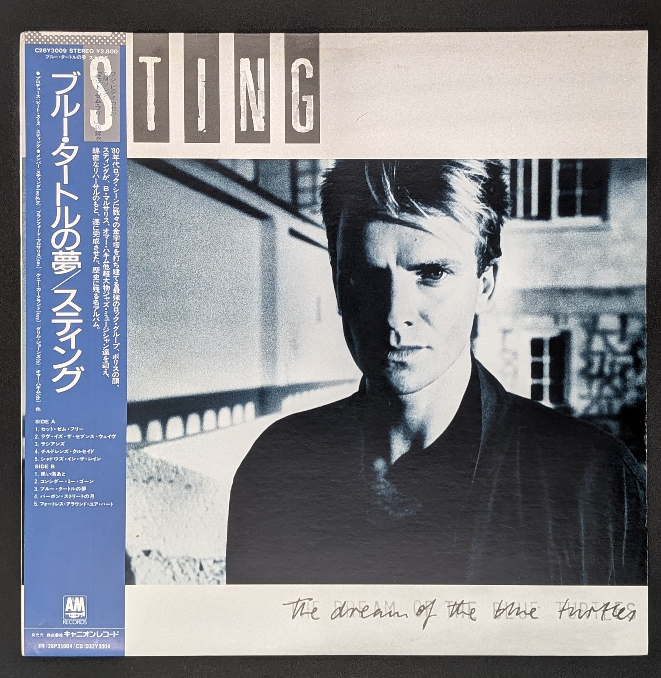 Sting - The Dream Of The Blue Turtles *
