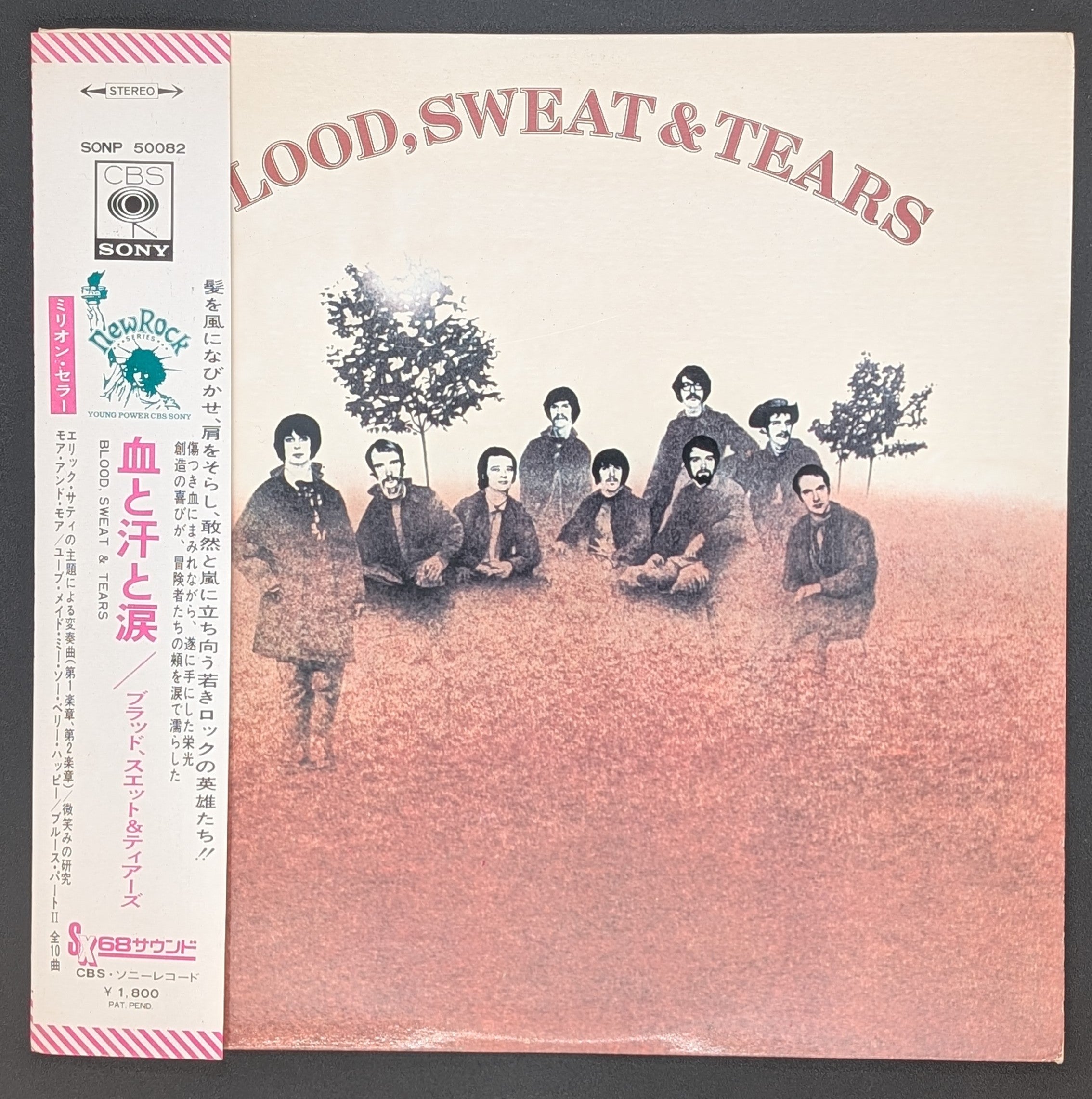 Blood, Sweat And Tears - Blood, Sweat And Tears