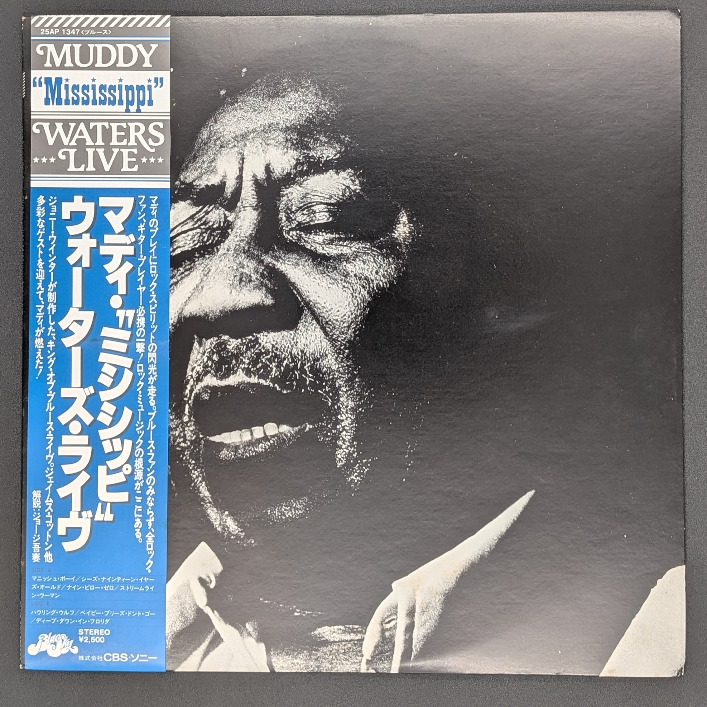 Muddy Waters - Muddy "Mississippi" Waters Live