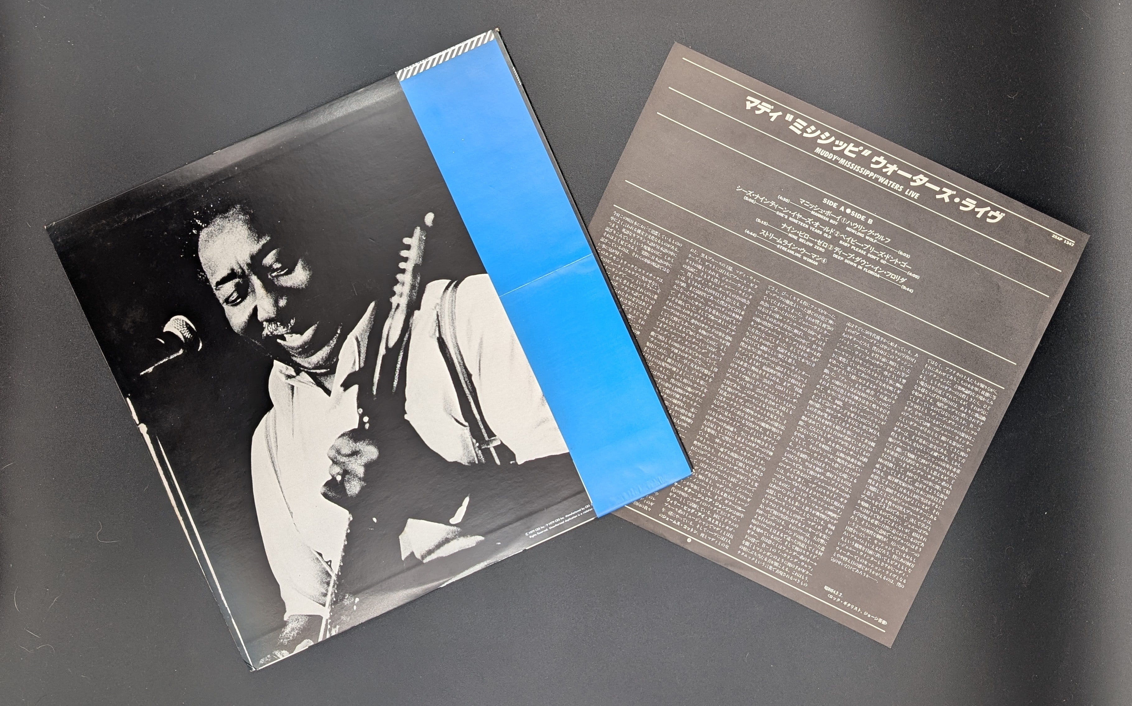 Muddy Waters - Muddy "Mississippi" Waters Live