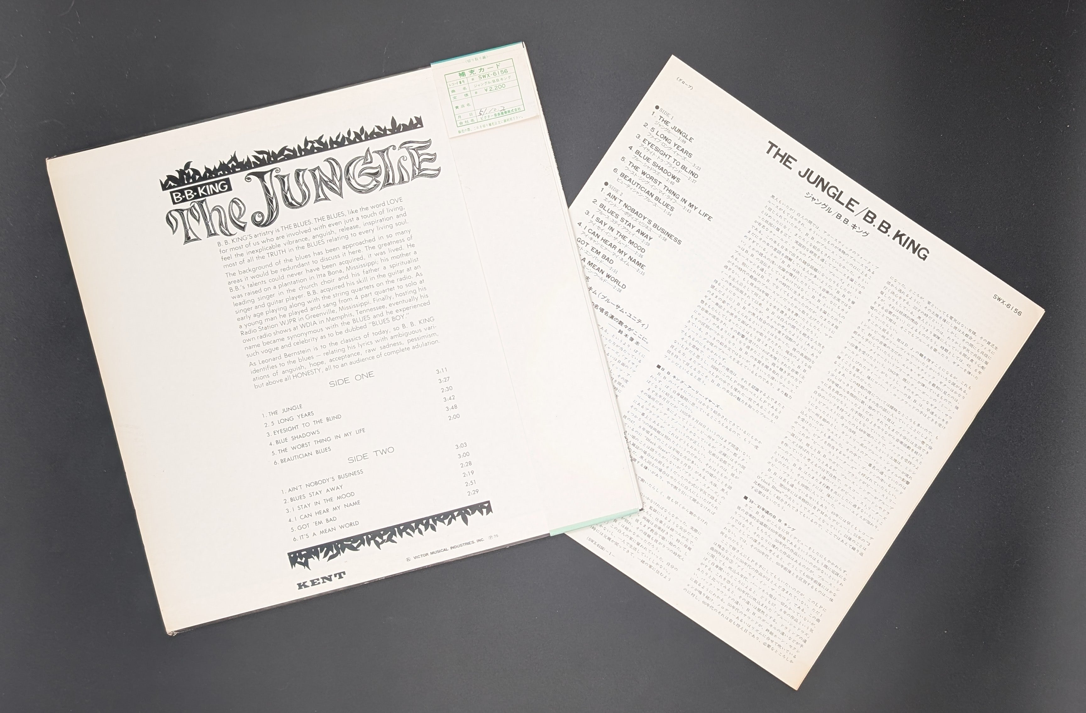 B.B. King - The Jungle