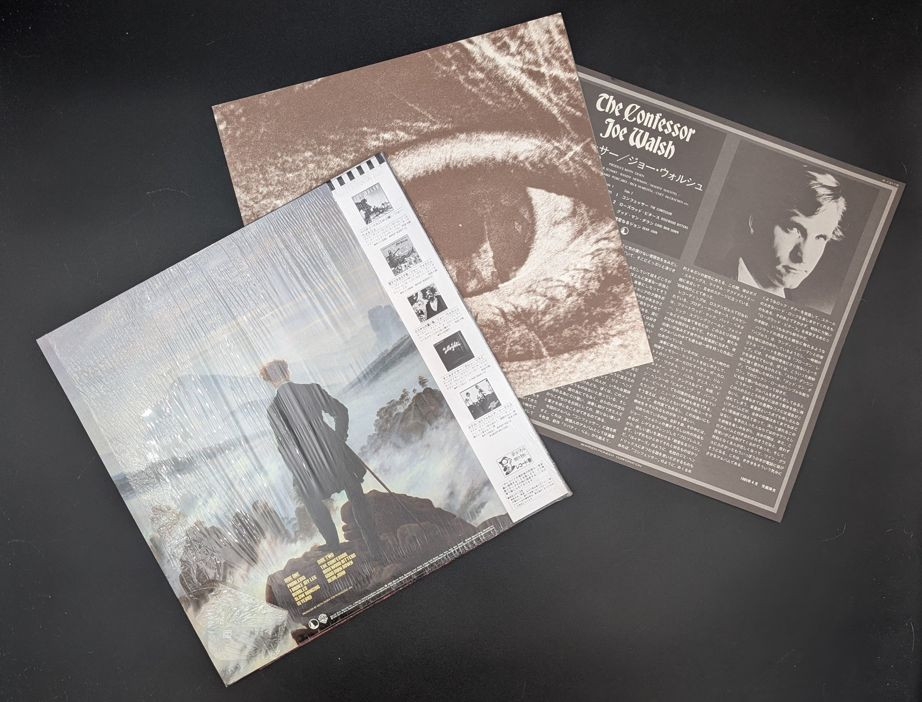 Joe Walsh - The Confessor