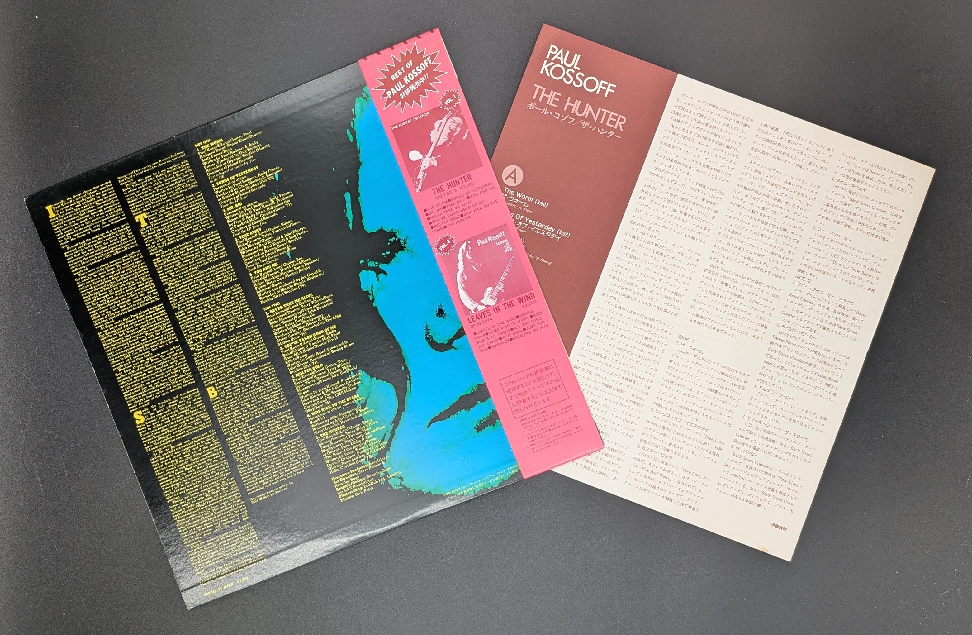 Paul Kossoff - The Hunter