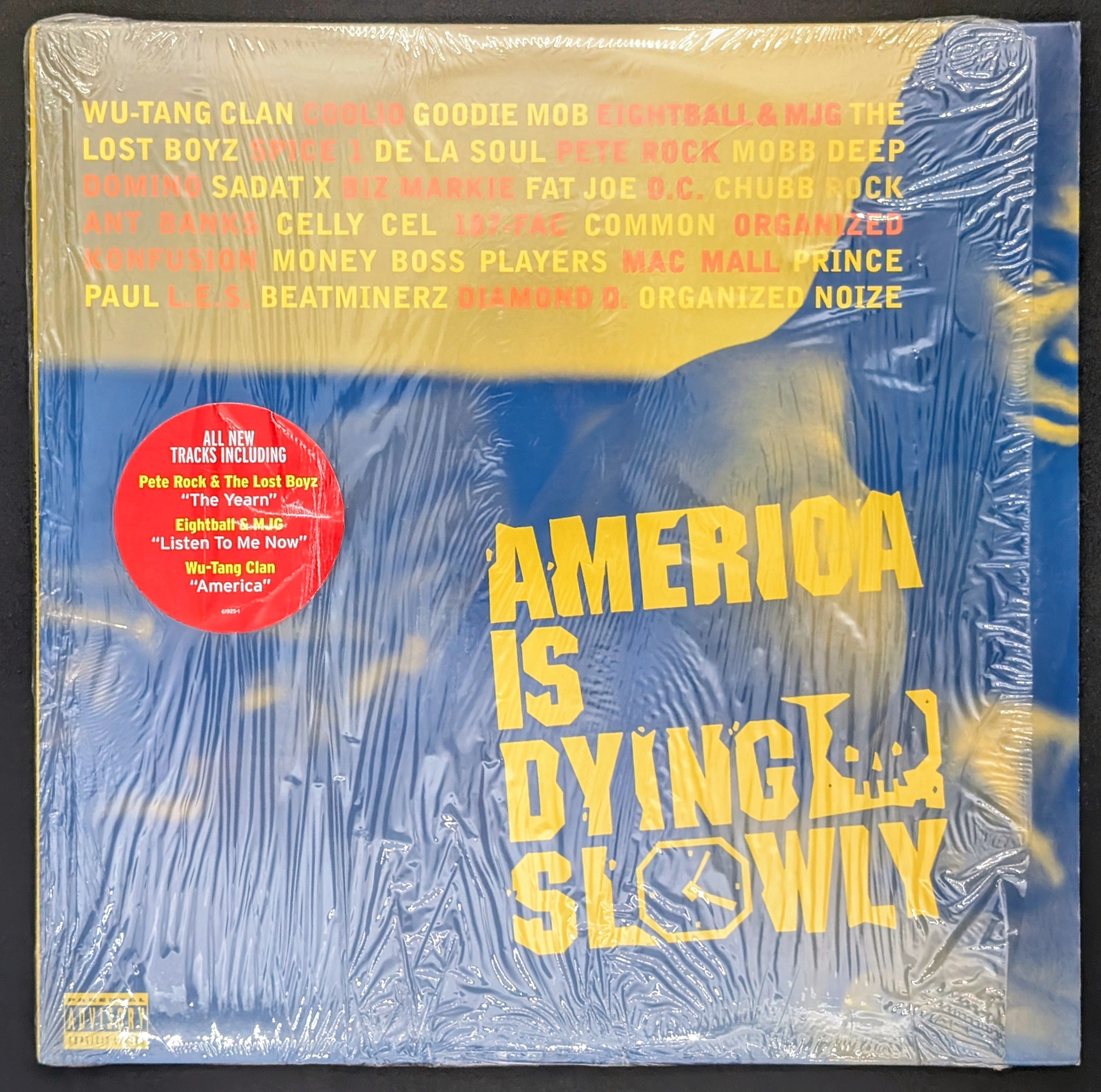Various - America Is Dying Slowly